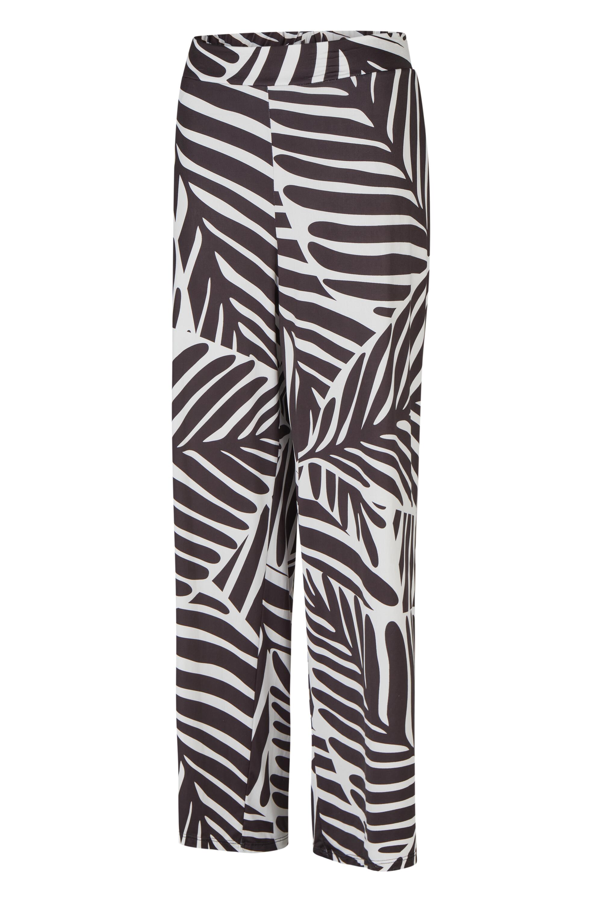 Bruno Kleine I0151876-4 #2