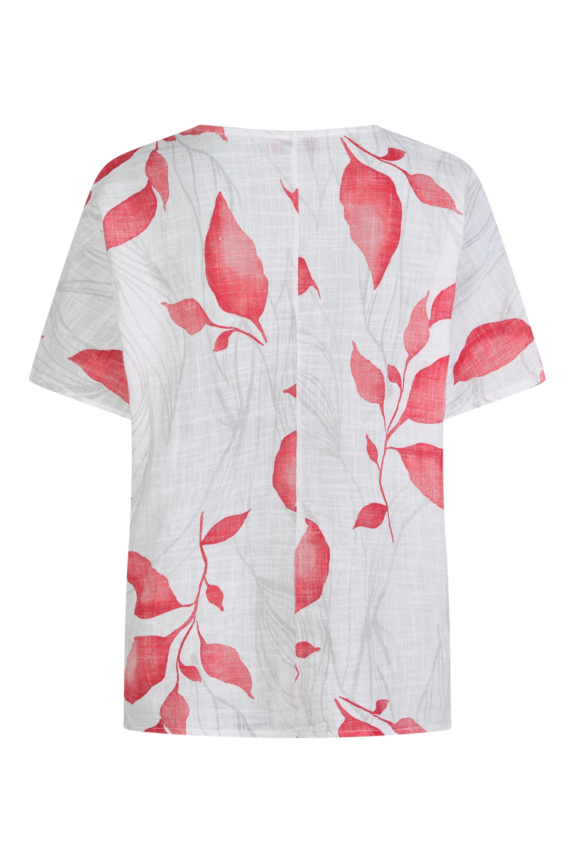 Bruno Kleine I0152887-5 #3