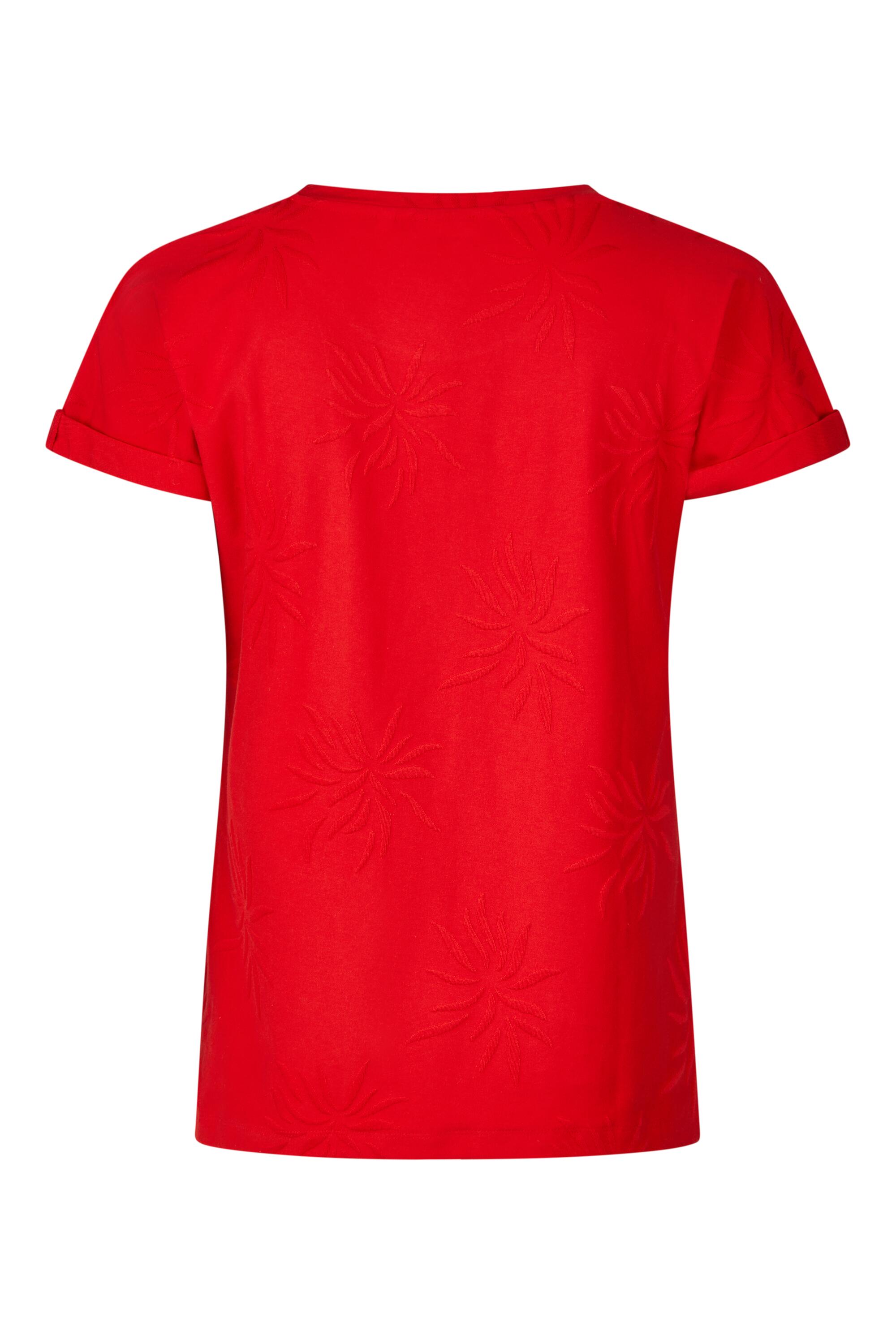 Bruno Kleine I0151649-9 #3