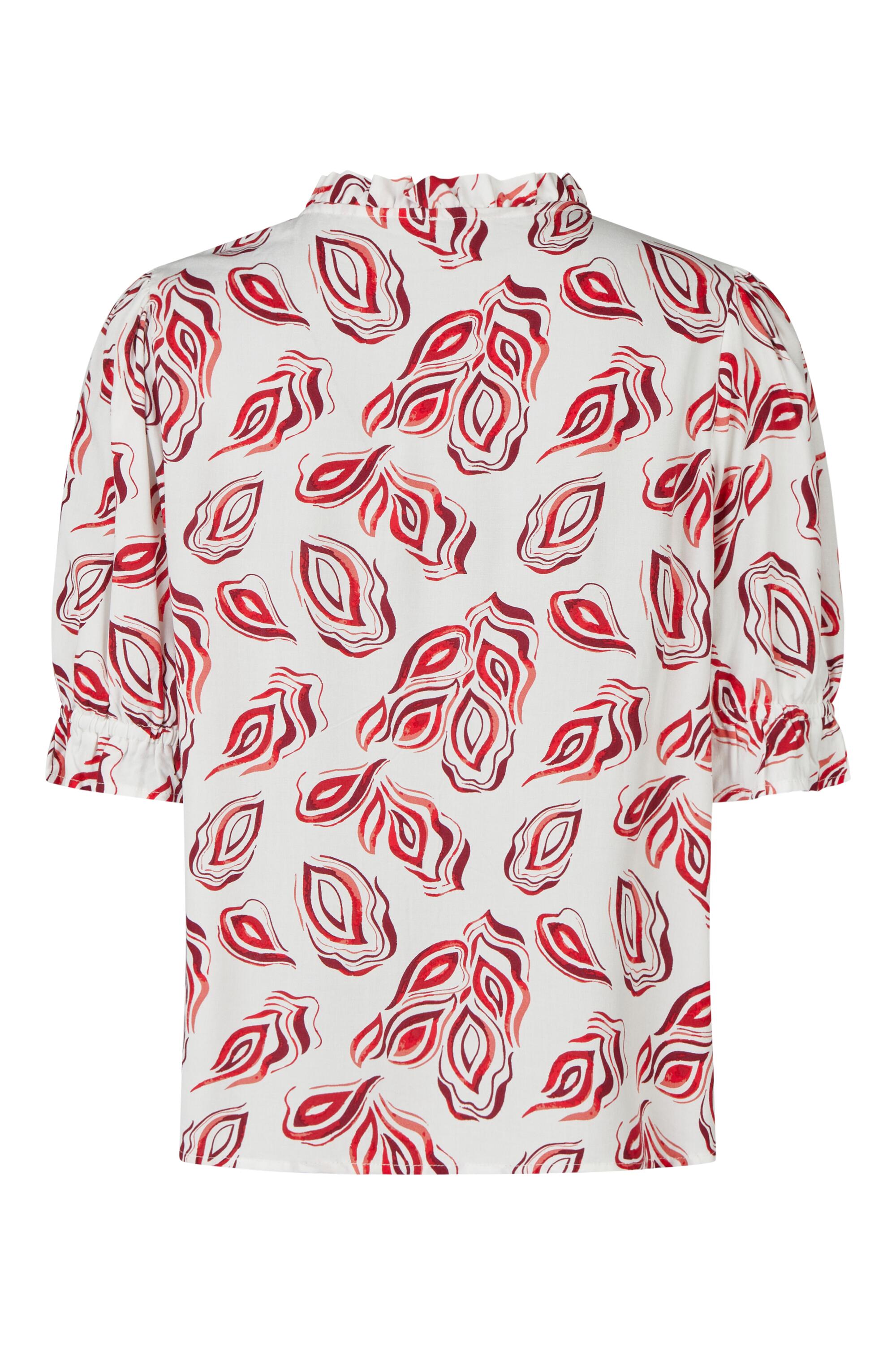 Bruno Kleine I0151656-9 #3