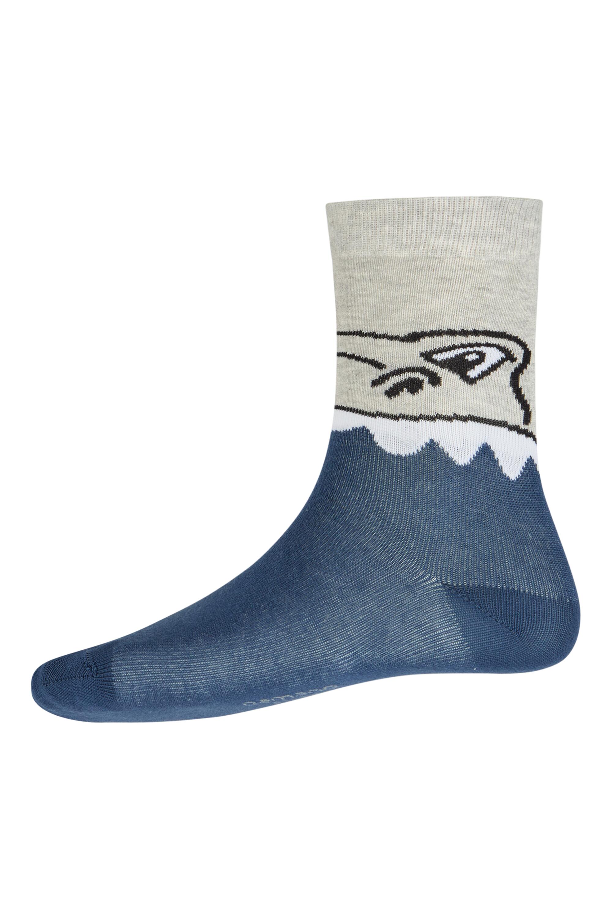 Bruno Kleine I0149279-5 #2