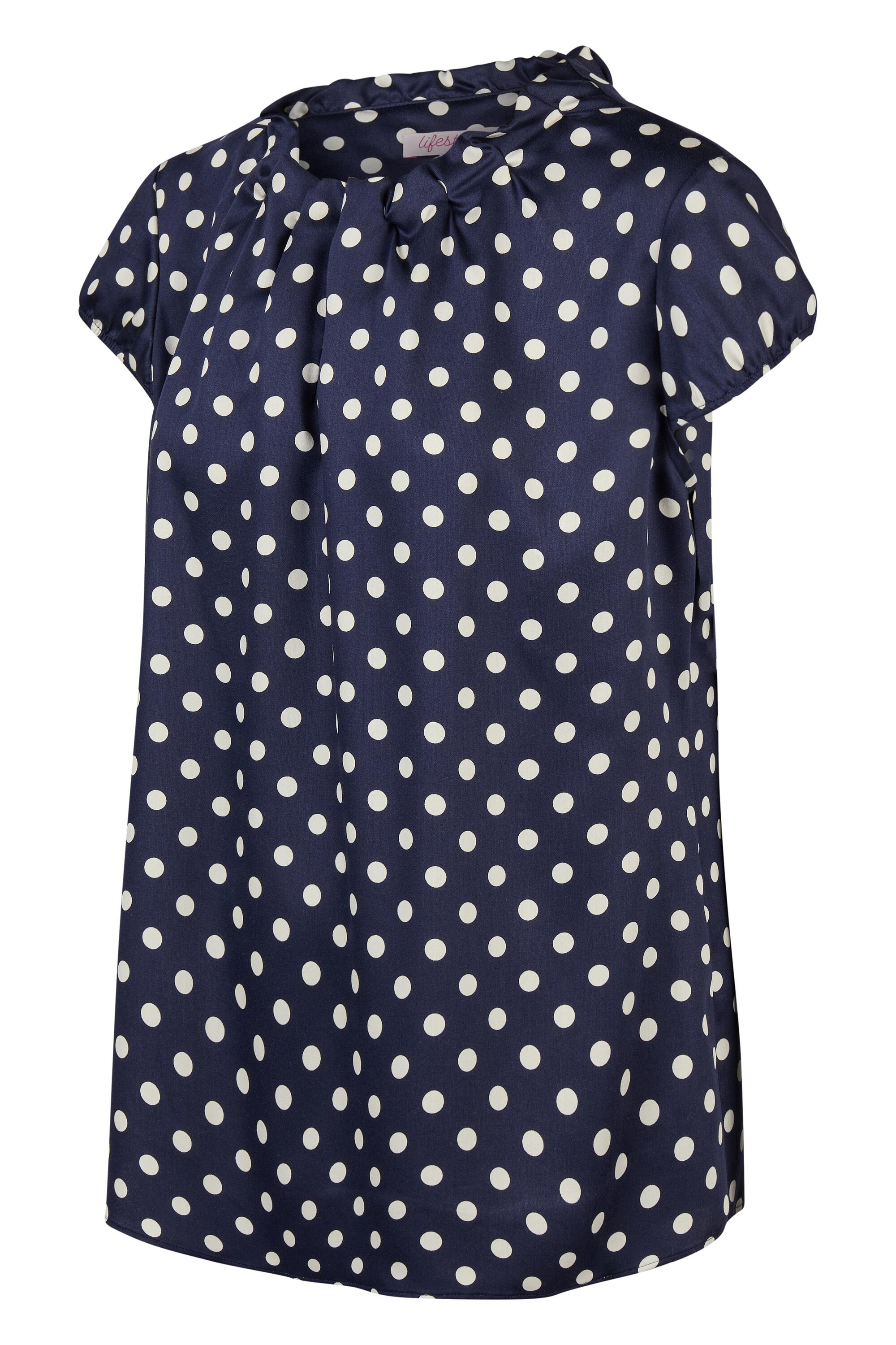 Bruno Kleine I0153370-5 #2