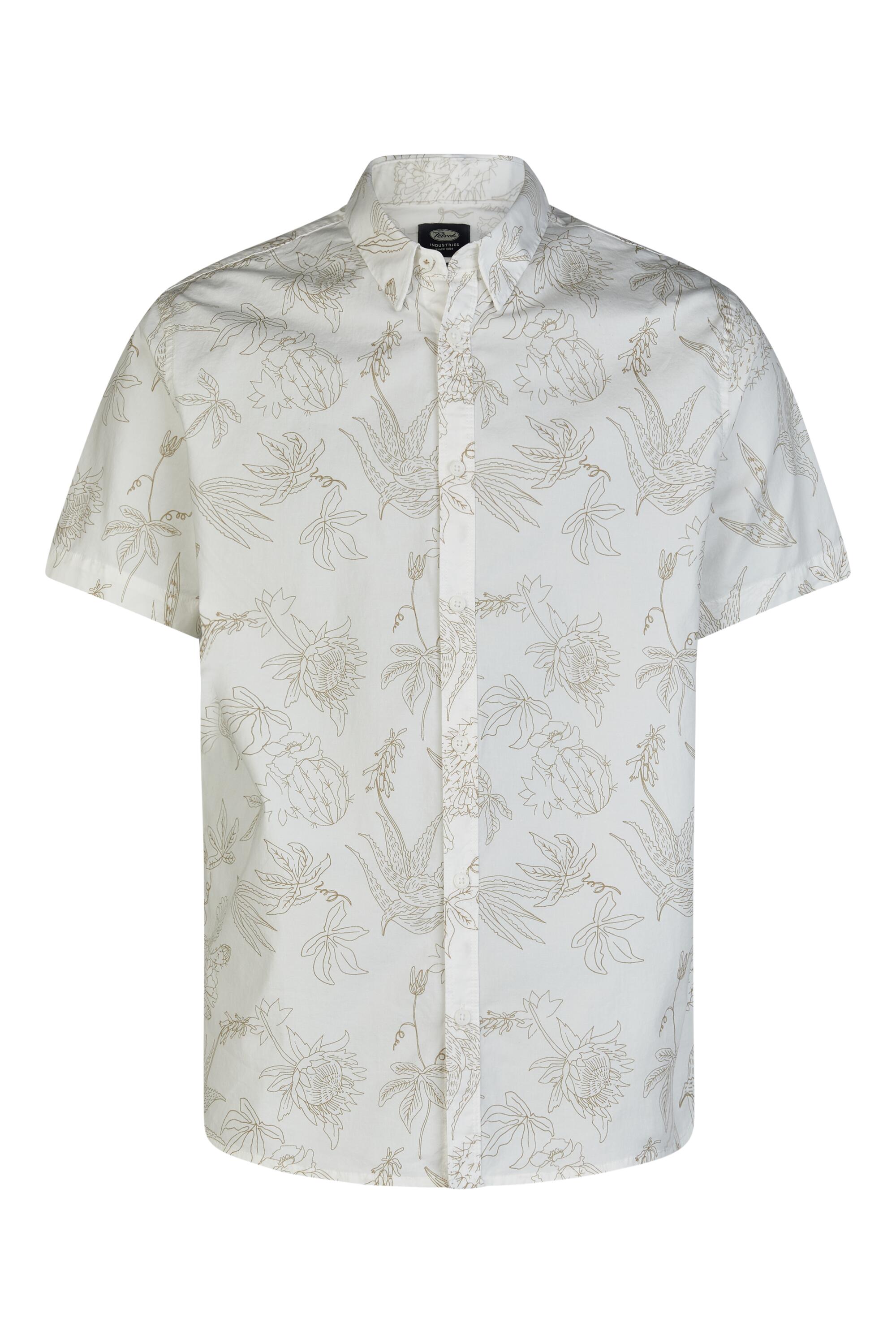 Bruno Kleine I0153341-4 #1