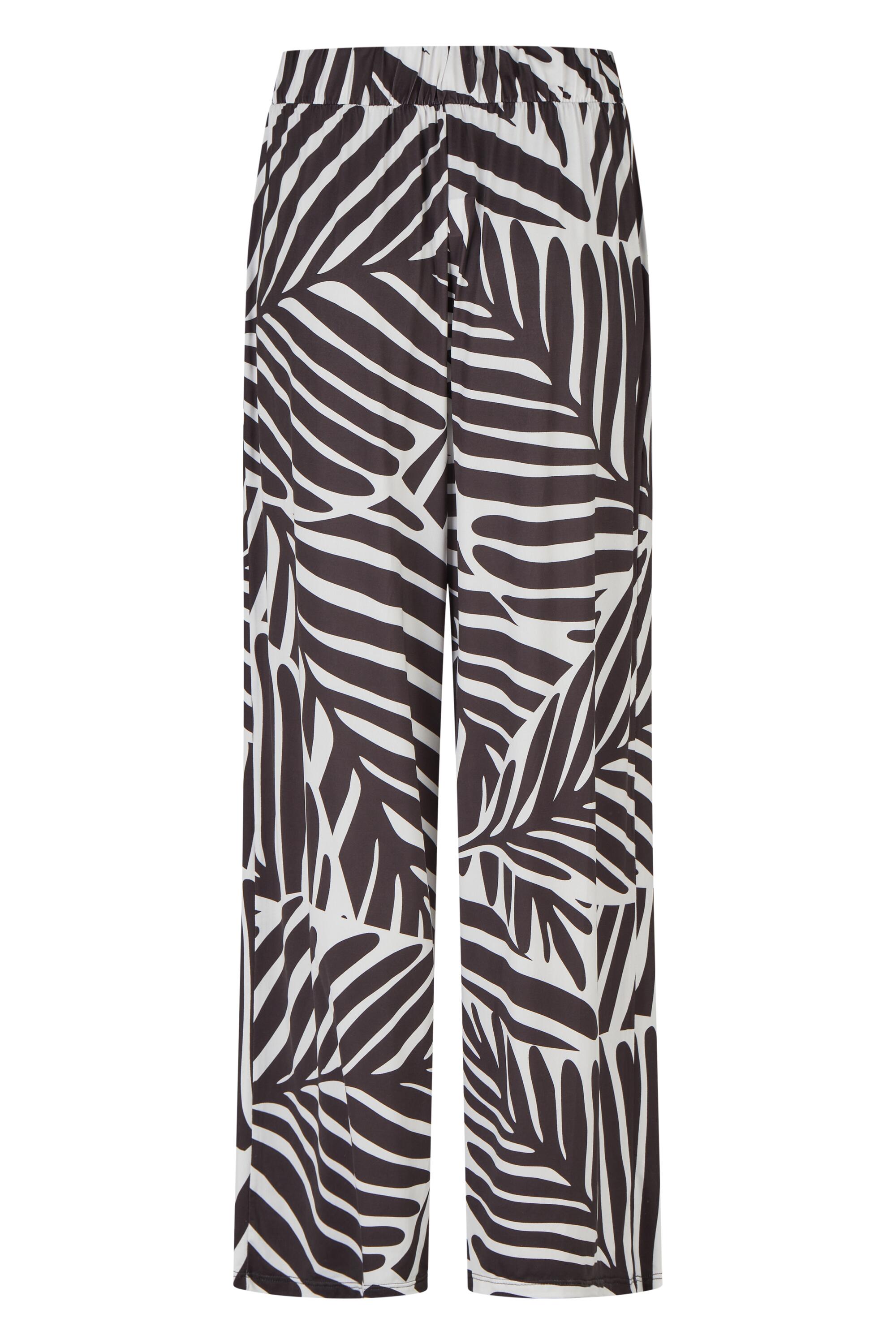 Bruno Kleine I0151876-4 #3