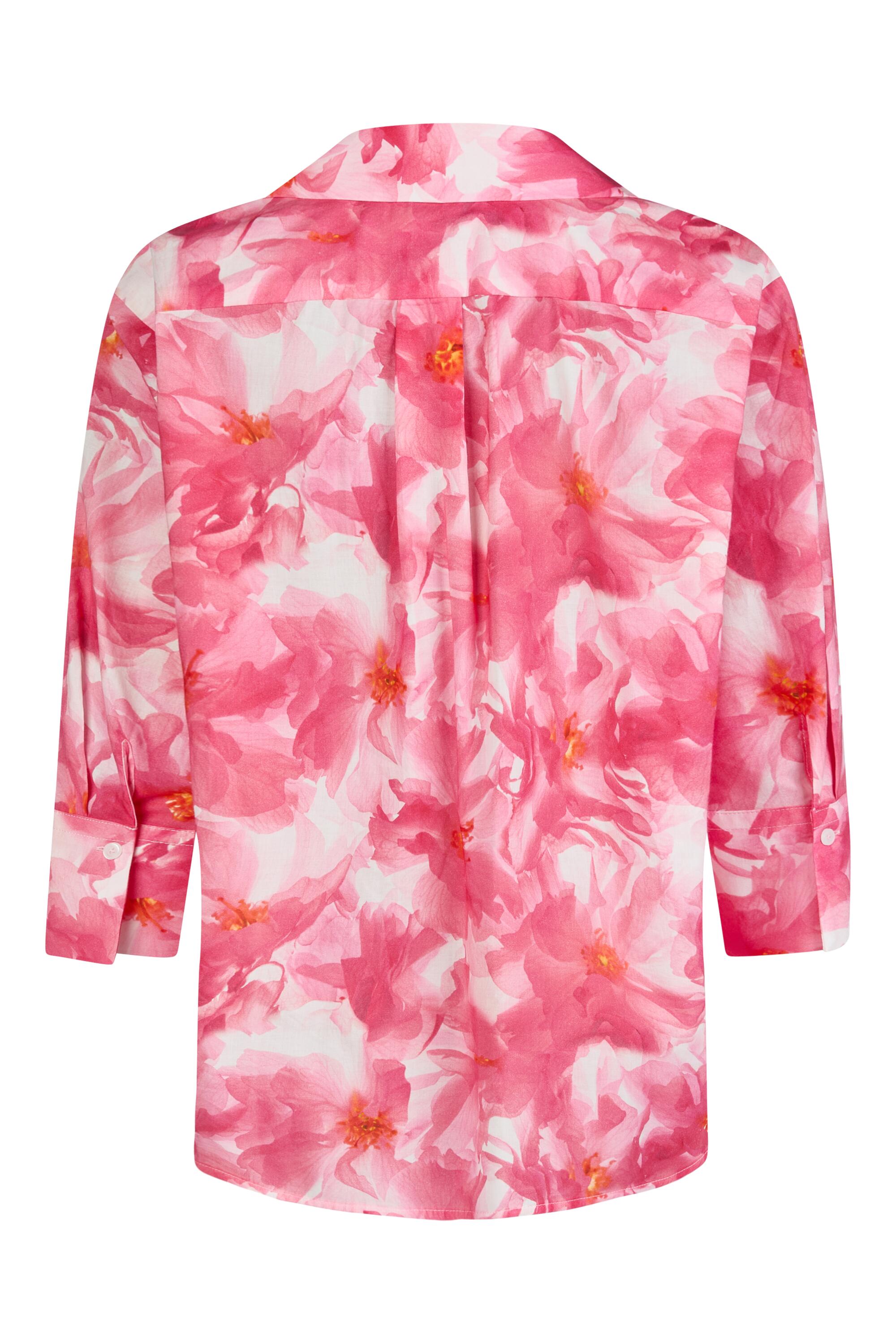 Bruno Kleine I0153844-7 #3