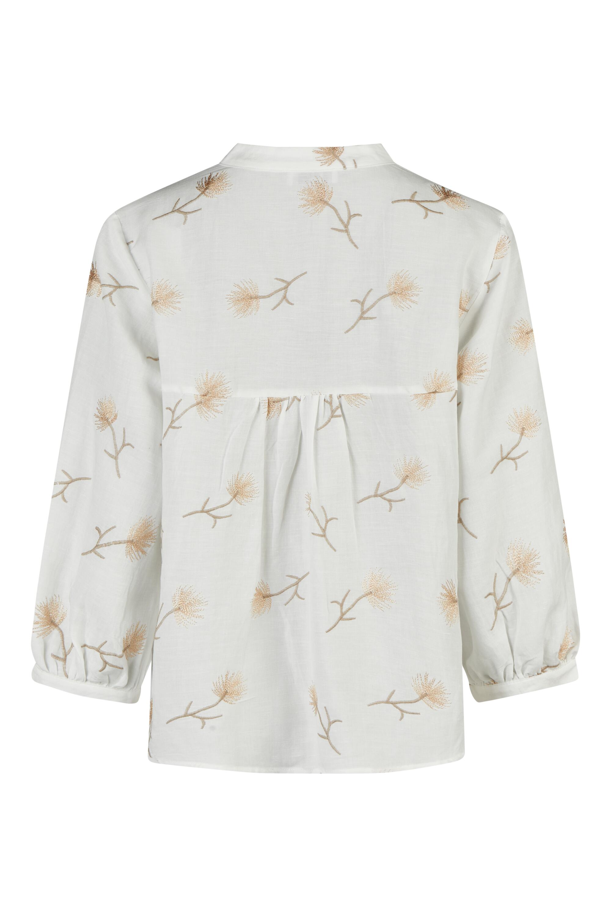 Bruno Kleine I0153864-6 #3