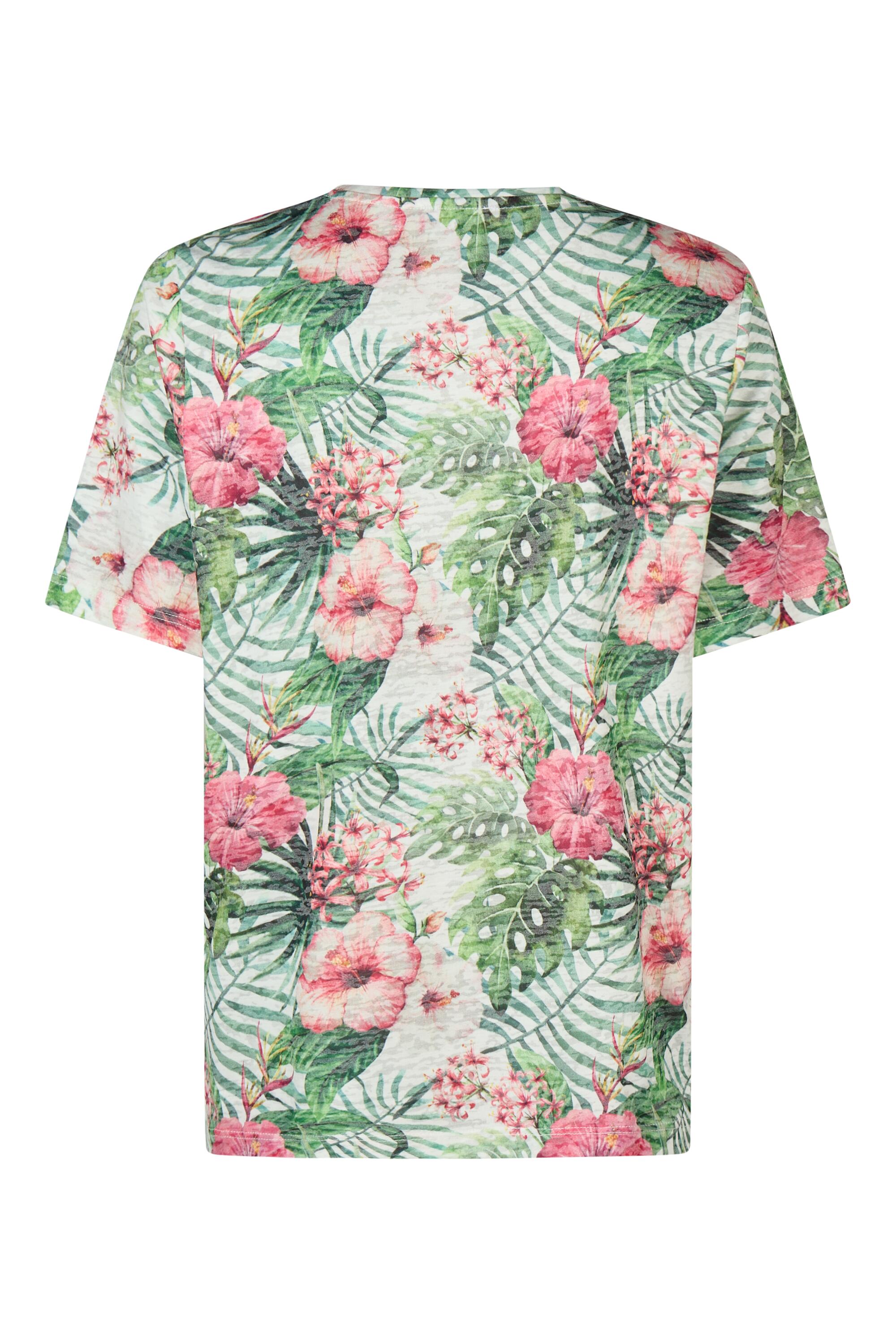 Bruno Kleine I0152946-6 #3