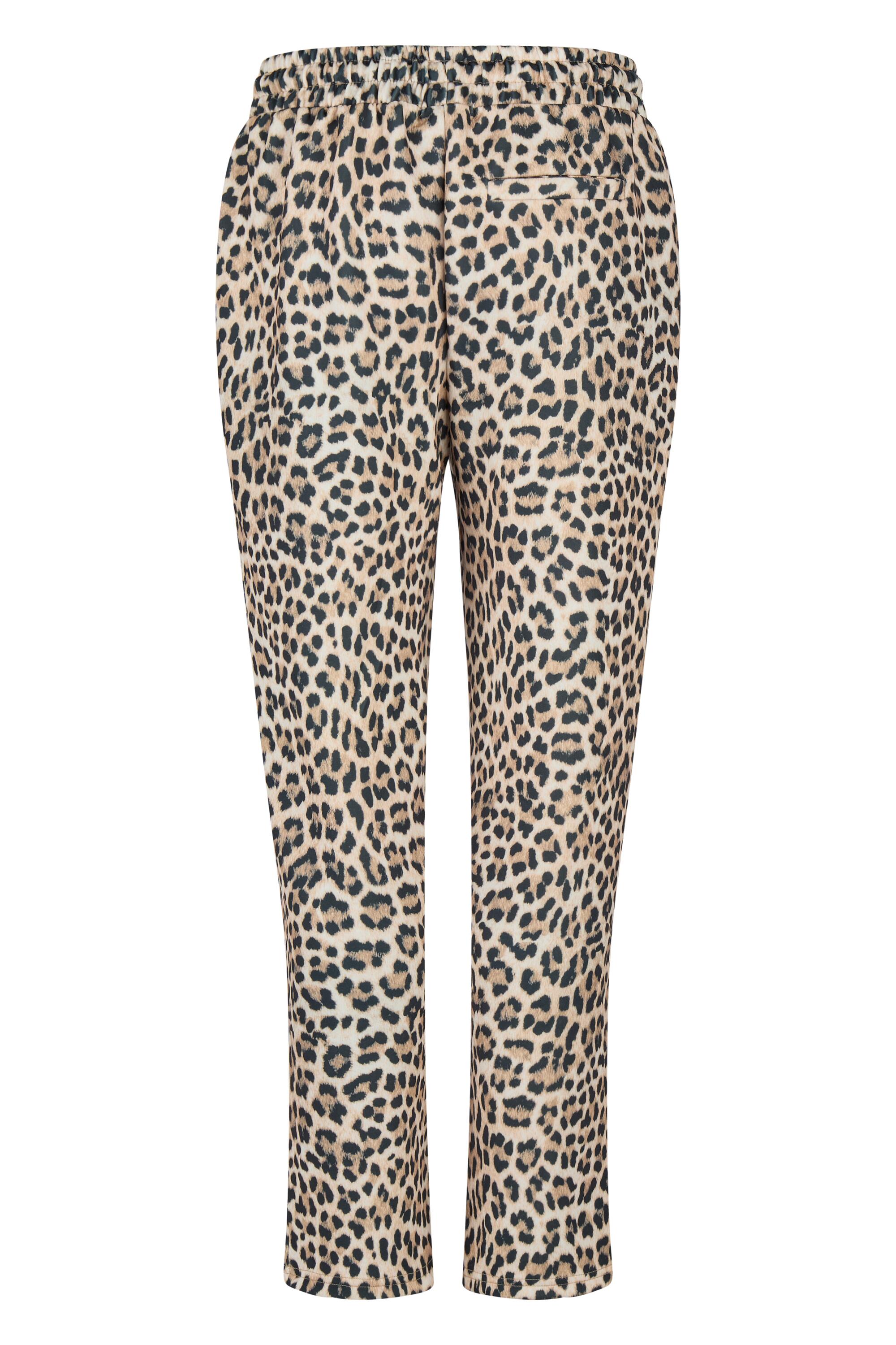 Bruno Kleine I0152022-5 #3