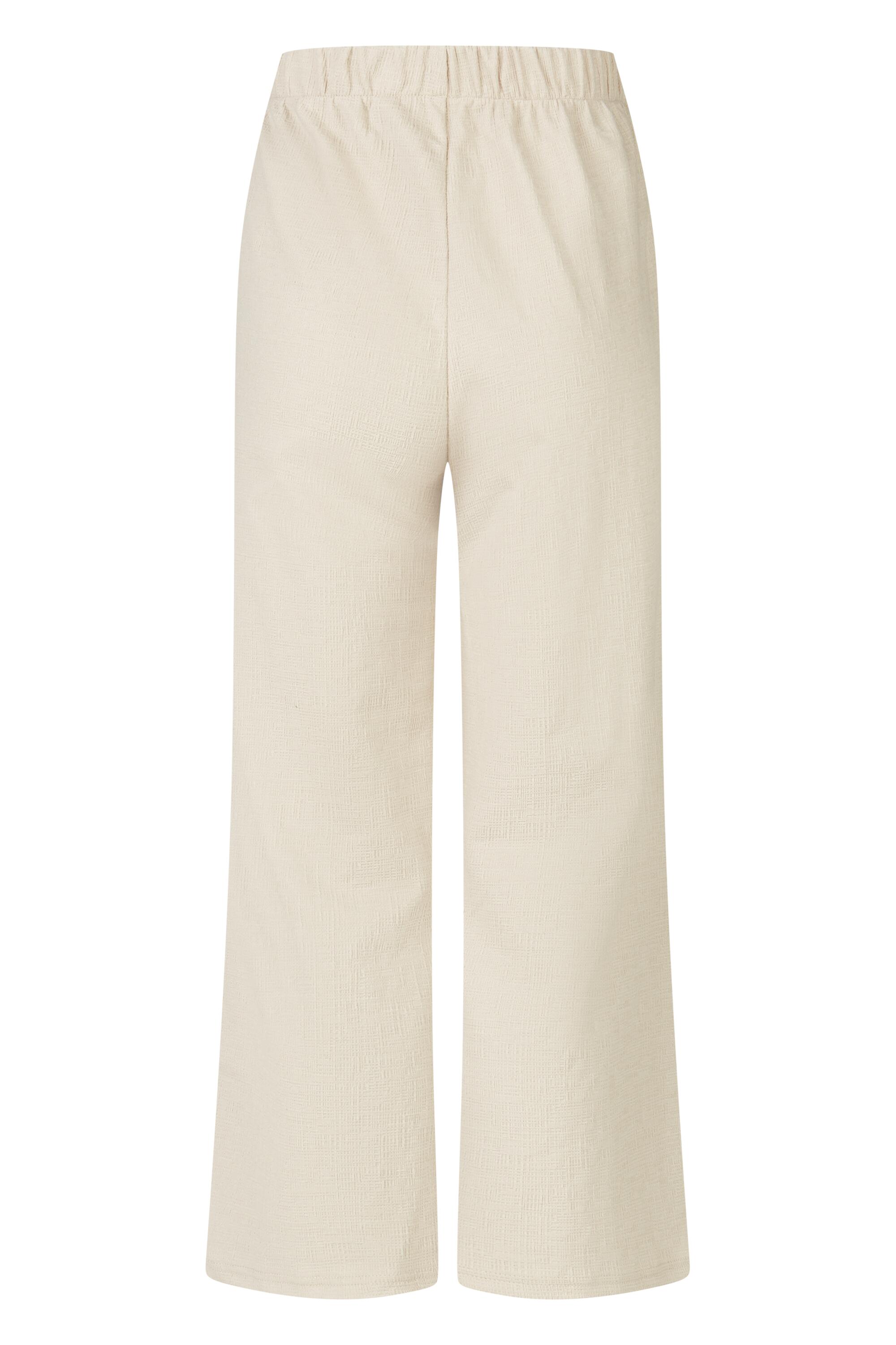 Bruno Kleine I0151732-54 #3