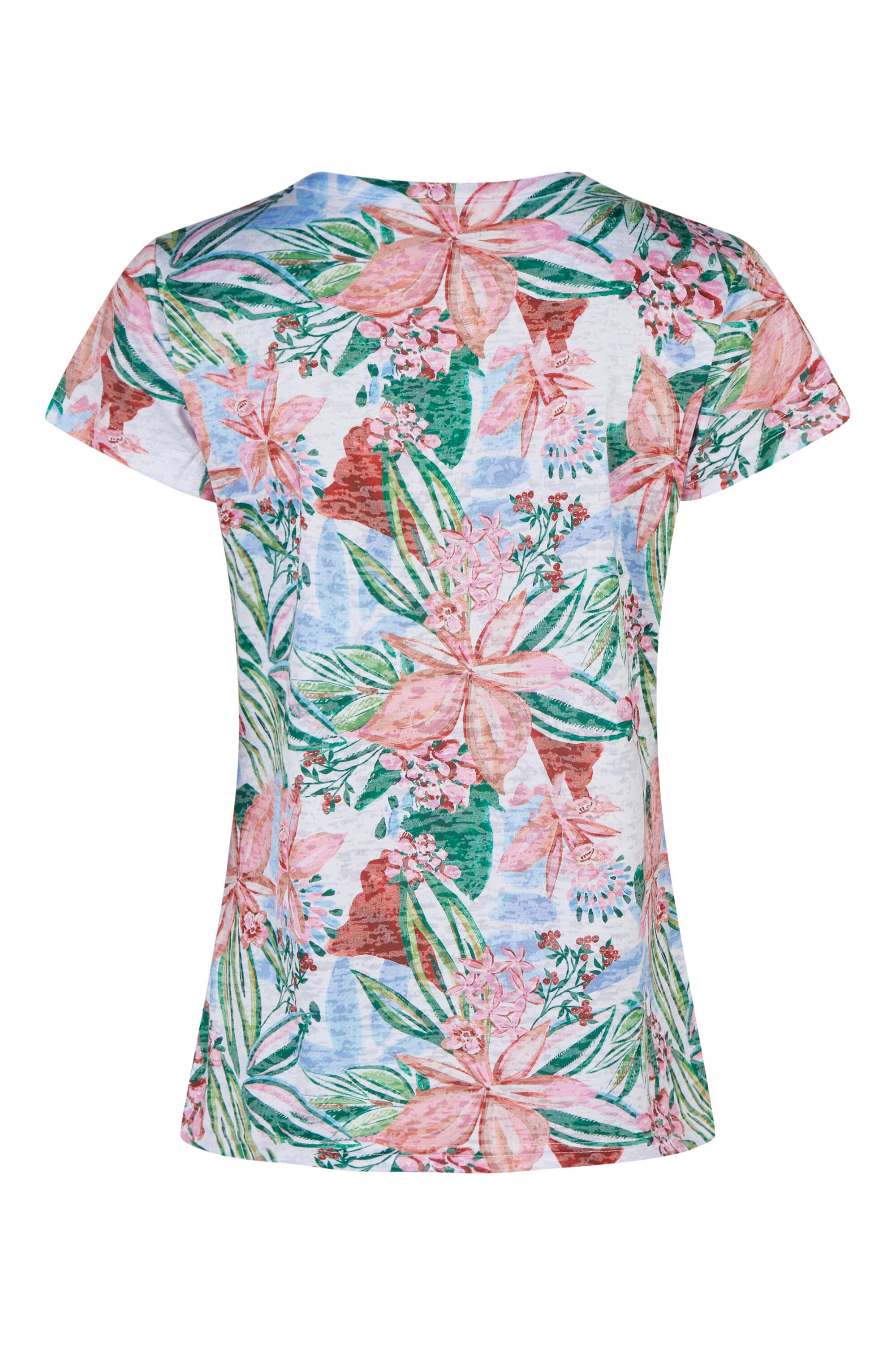 Bruno Kleine I0152052-5 #3