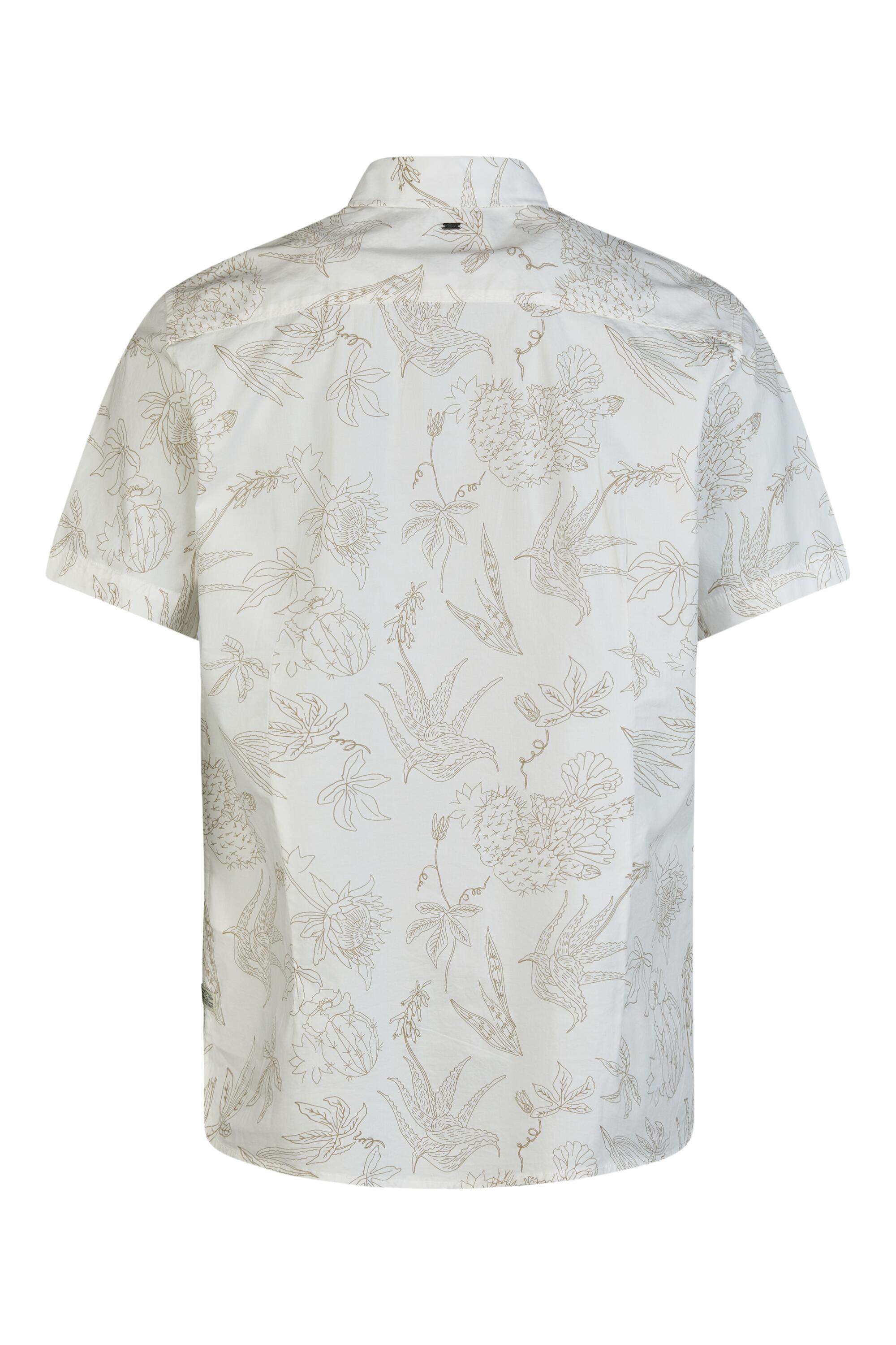 Bruno Kleine I0153341-4 #3