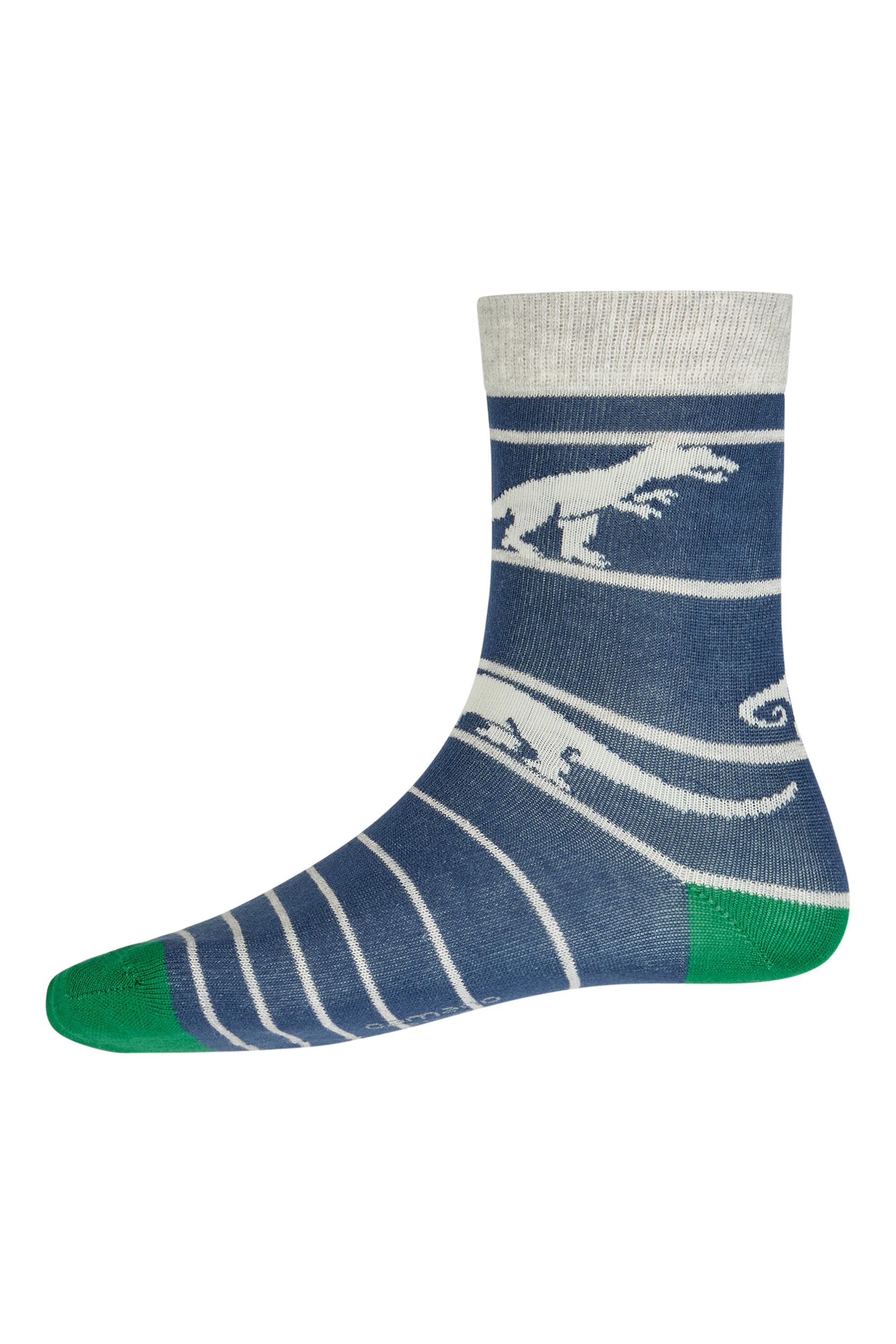 Bruno Kleine I0149279-5 #3