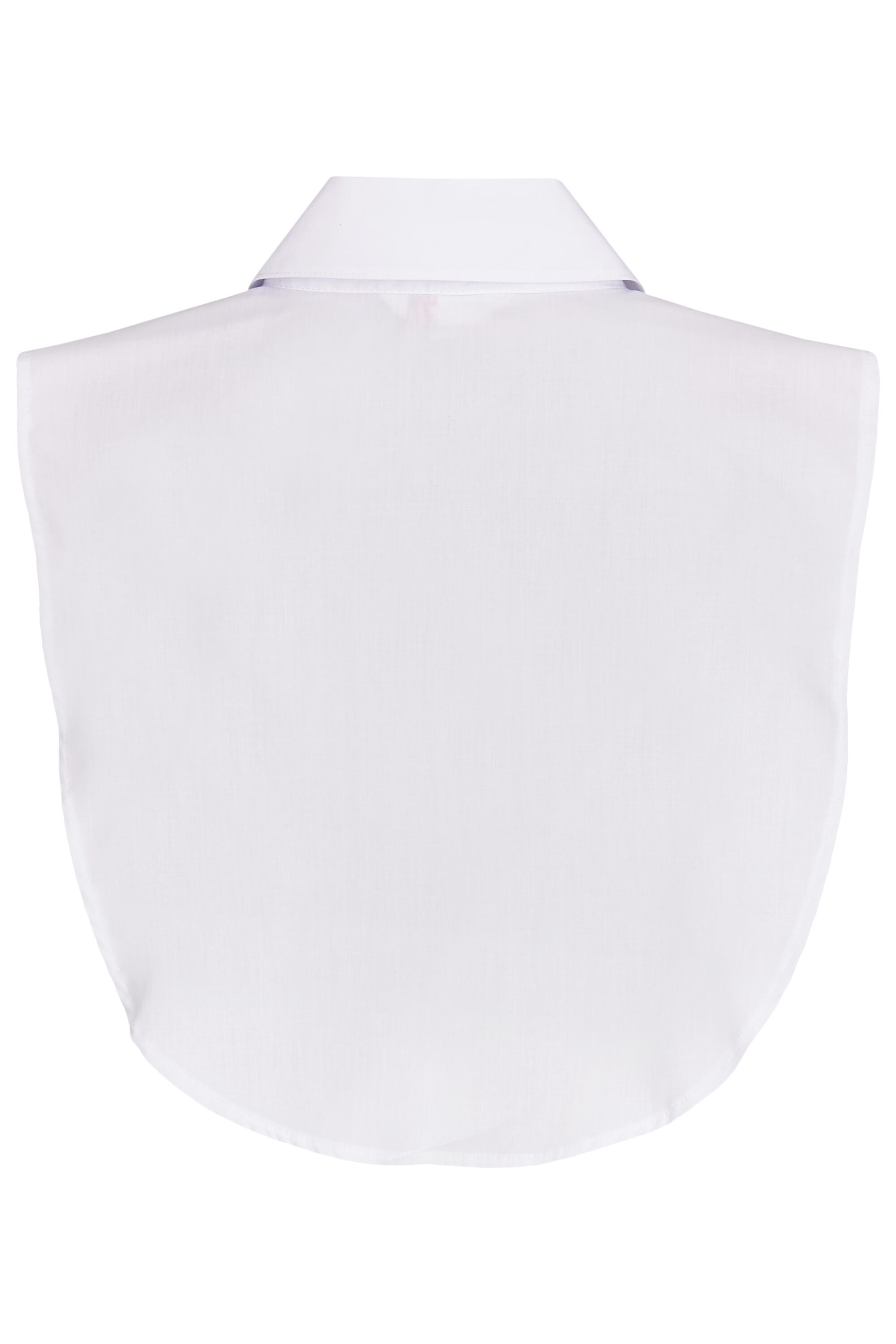 Bruno Kleine I0082430-9 #3 Bruno Kleine I0082430-9 #3