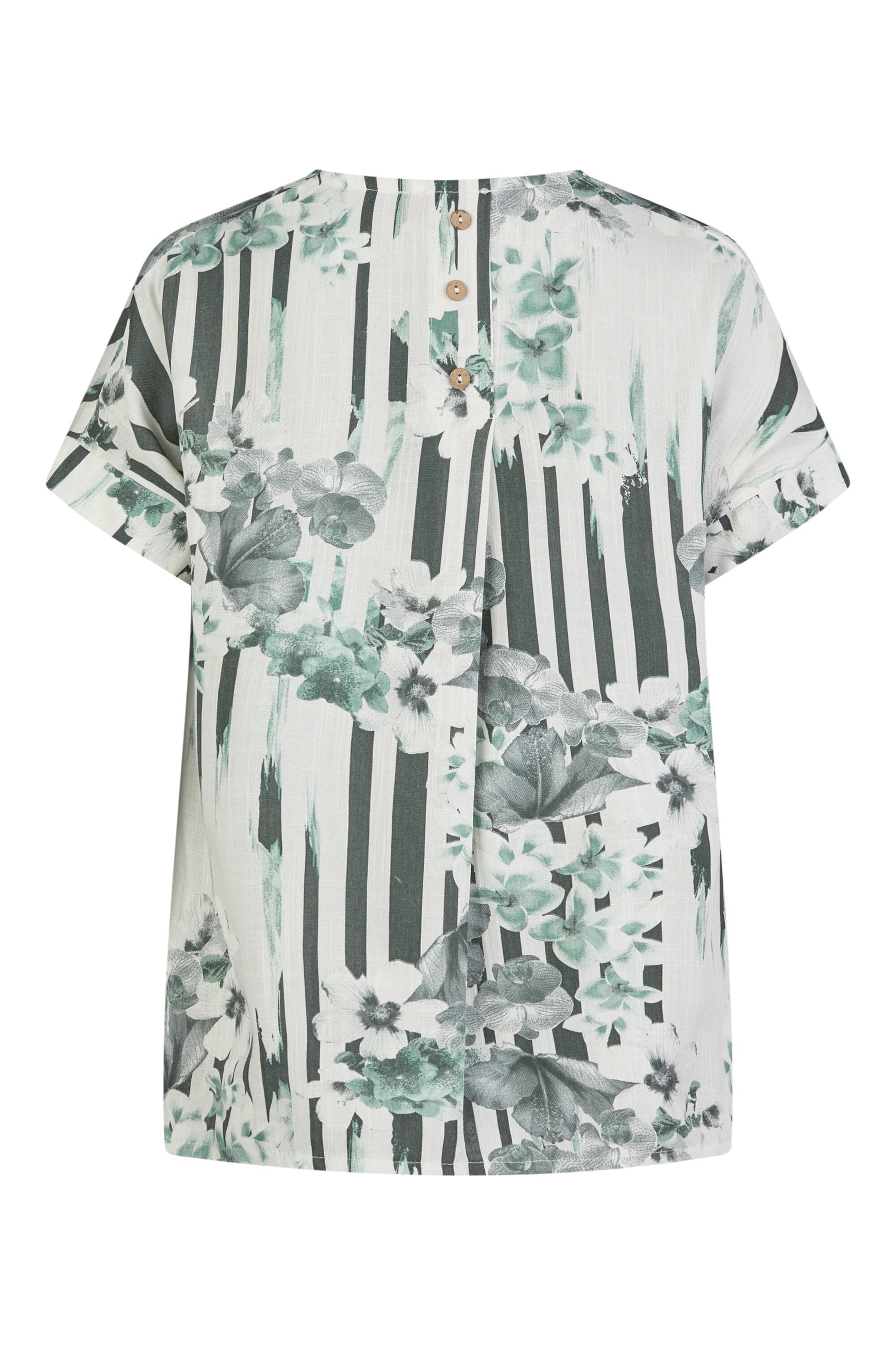 Bruno Kleine I0152884-5 #3