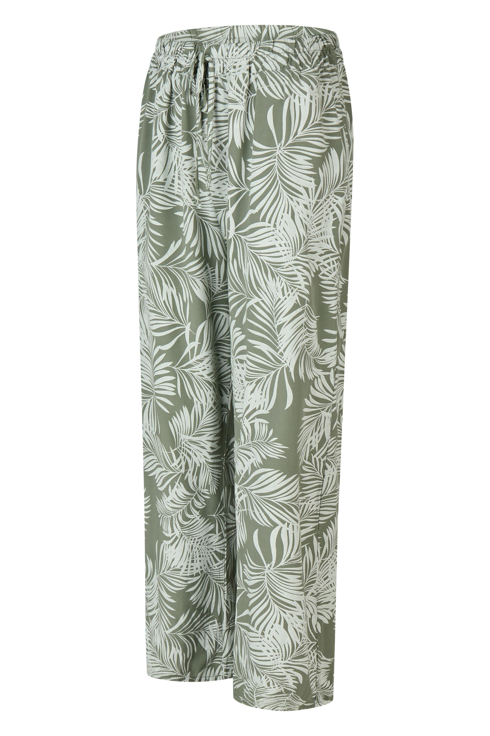 Bruno Kleine I0152865-9 #2