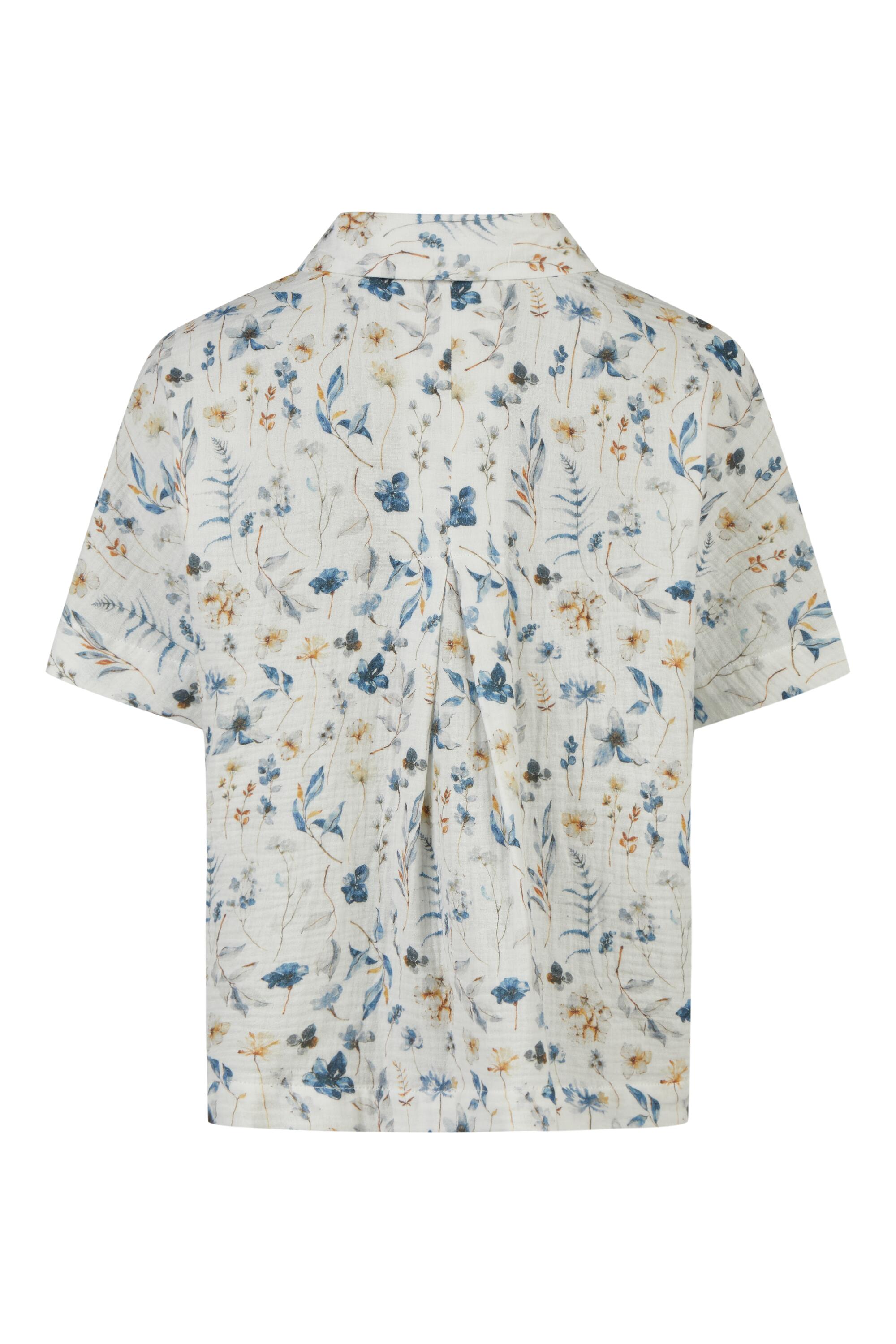 Bruno Kleine I0153833-8 #3