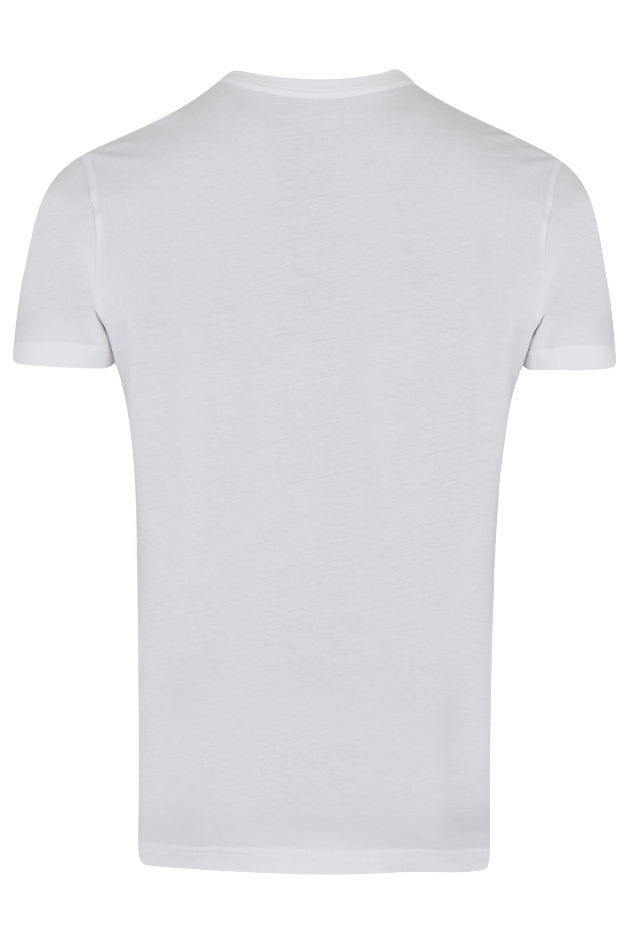 Bruno Kleine 2042B433-53 #3