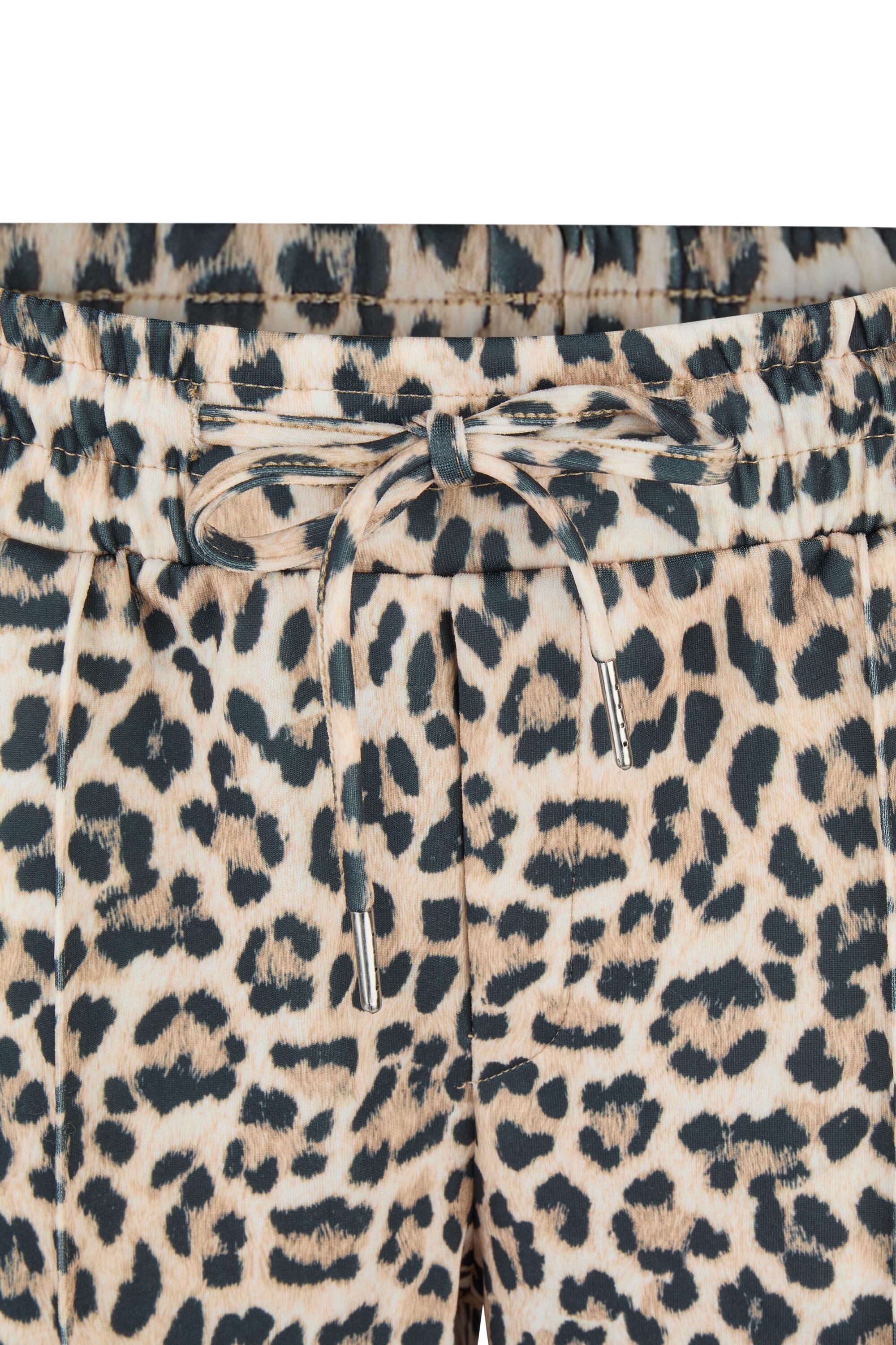 Bruno Kleine I0152022-5 #4