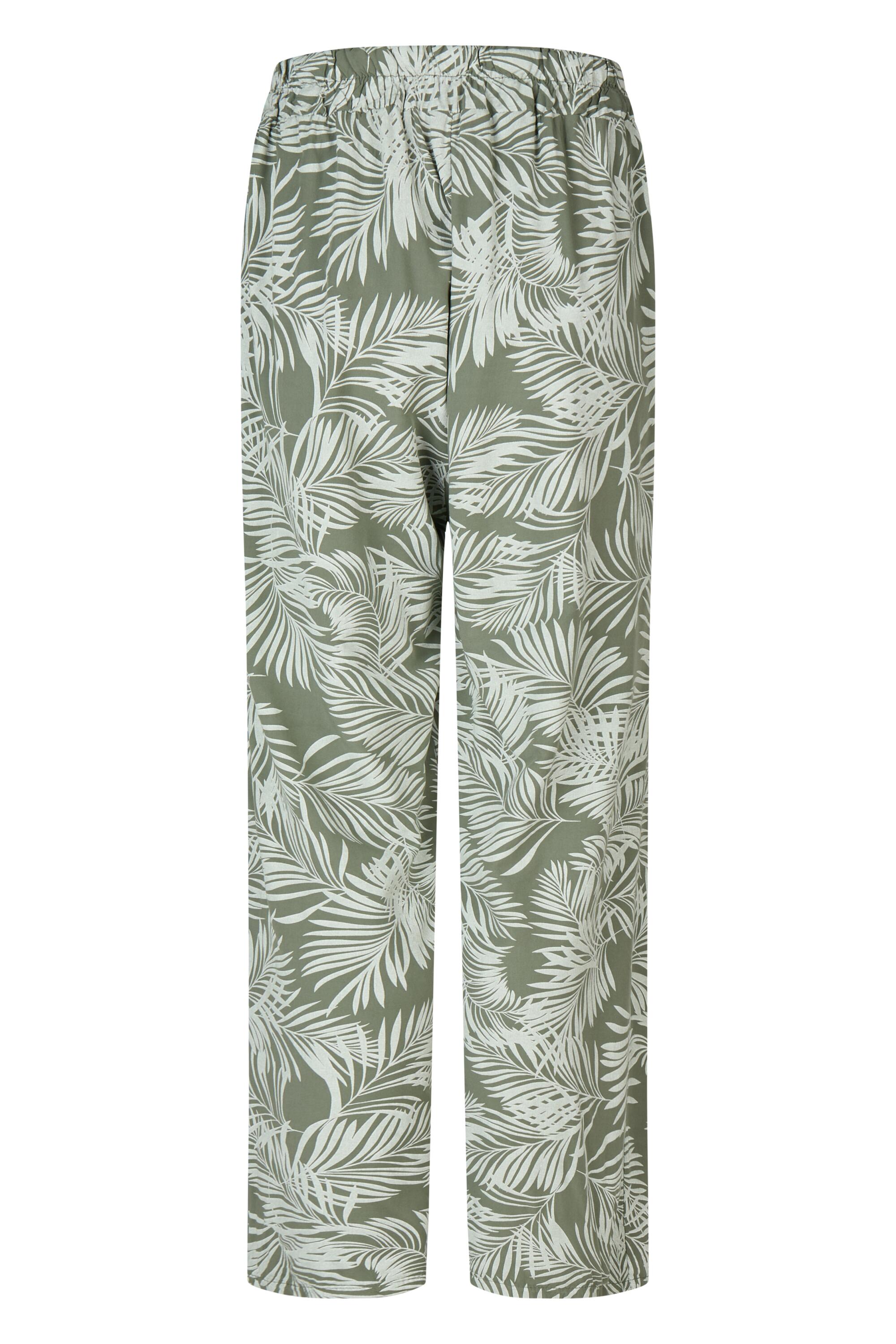 Bruno Kleine I0152865-9 #3