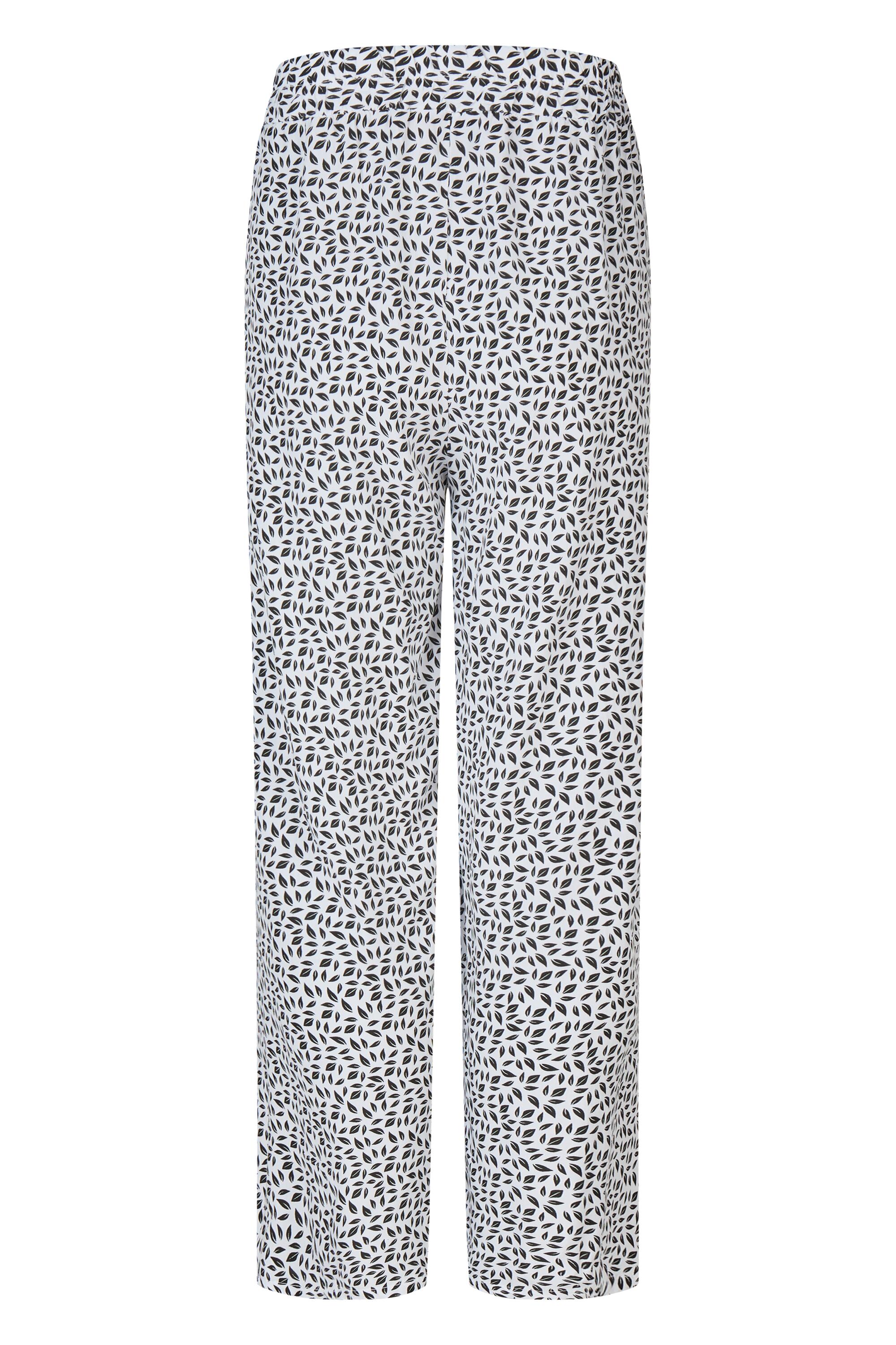 Bruno Kleine I0152868-9 #3