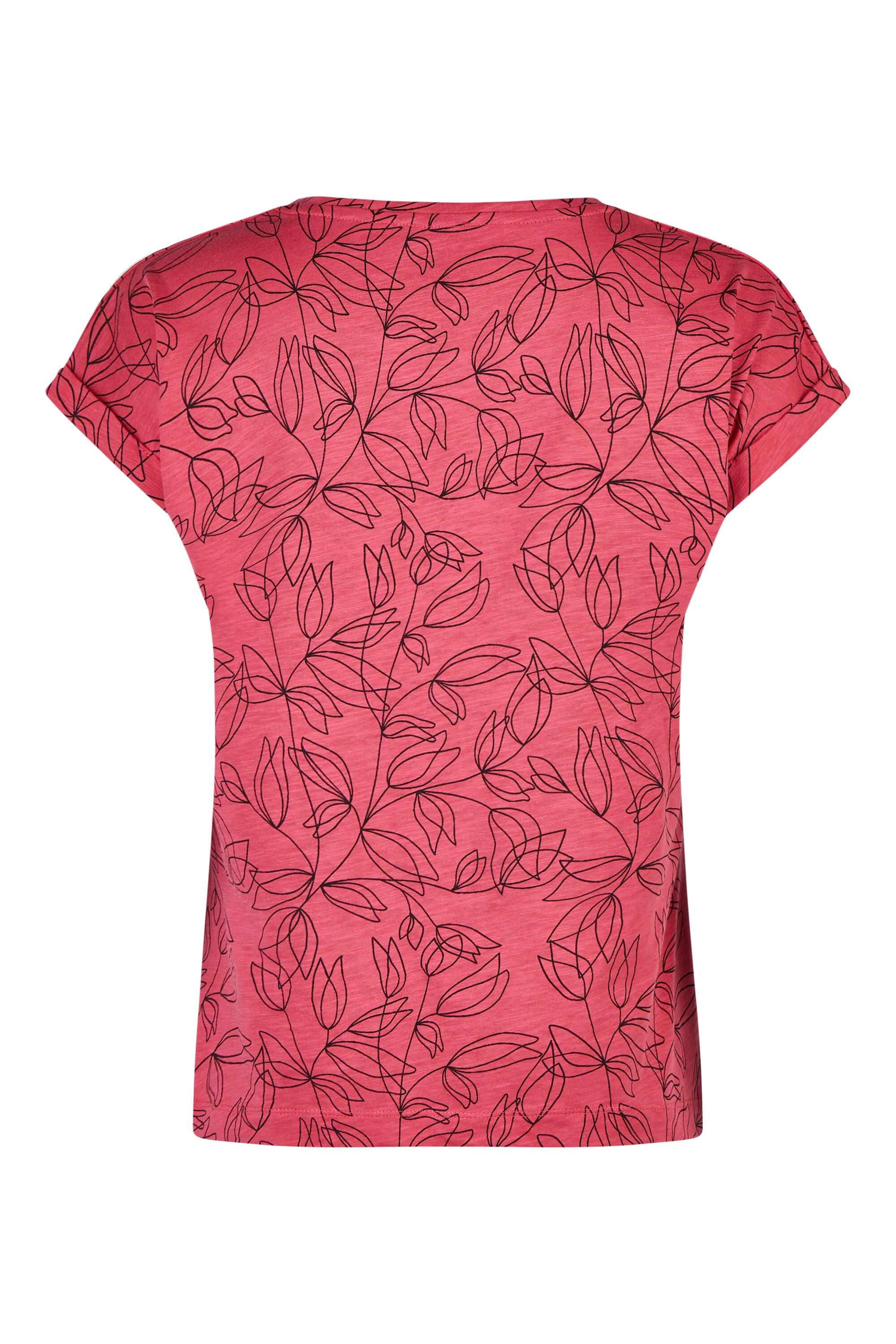 Bruno Kleine I0151654-9 #3