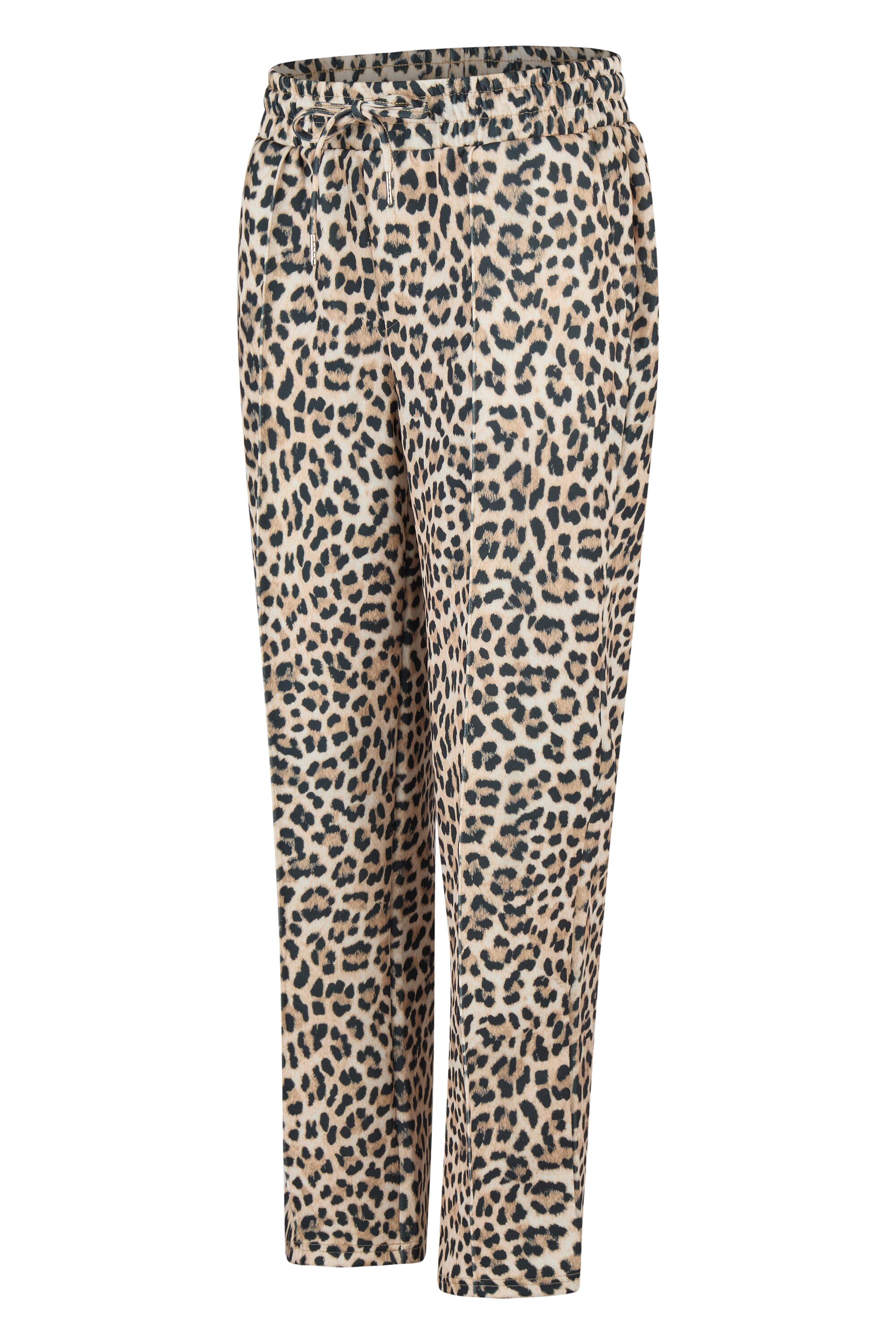 Bruno Kleine I0152022-5 #2