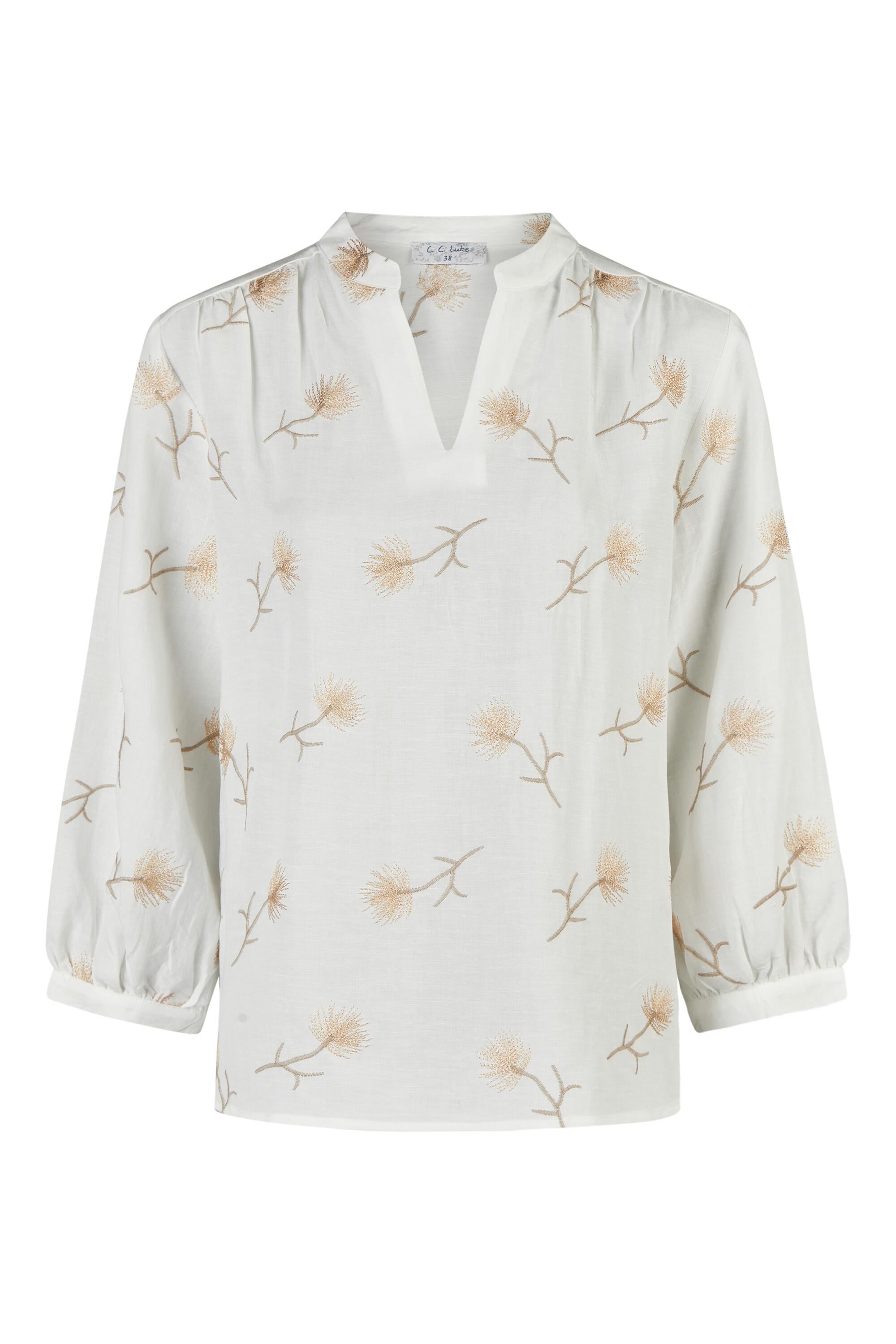 Bruno Kleine I0153864-6 #1