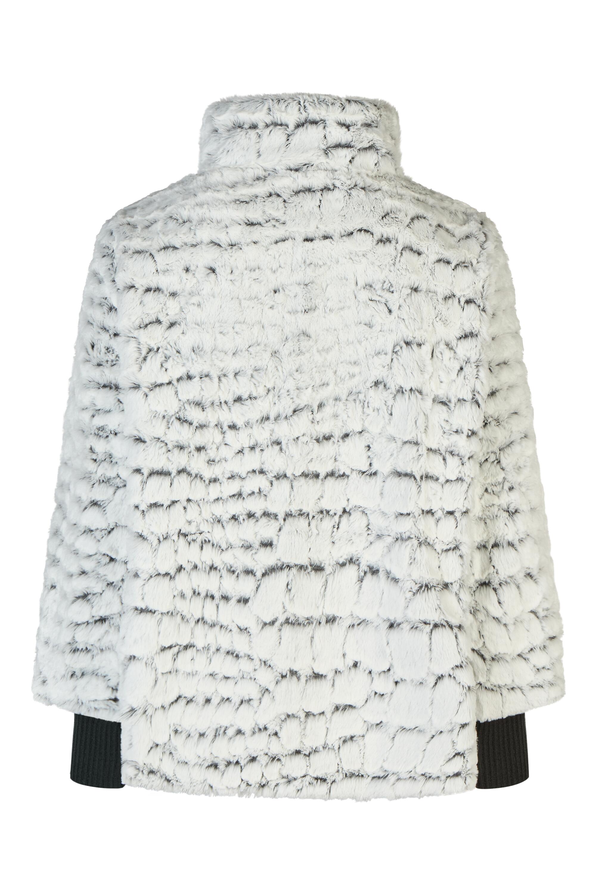 Bruno Kleine I0148630-5 #3