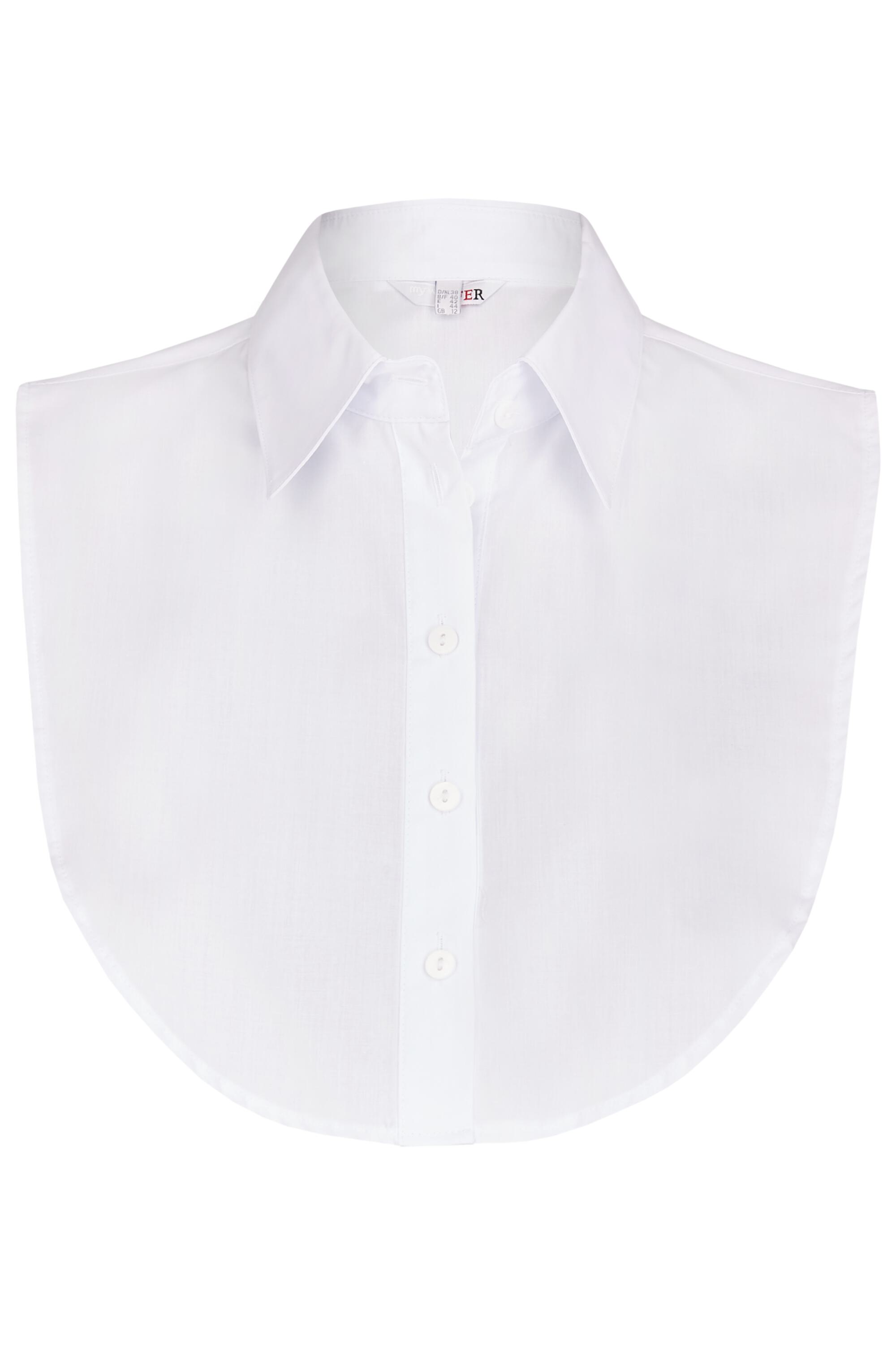 Bruno Kleine I0082430-9 #1 Bruno Kleine I0082430-9 #1