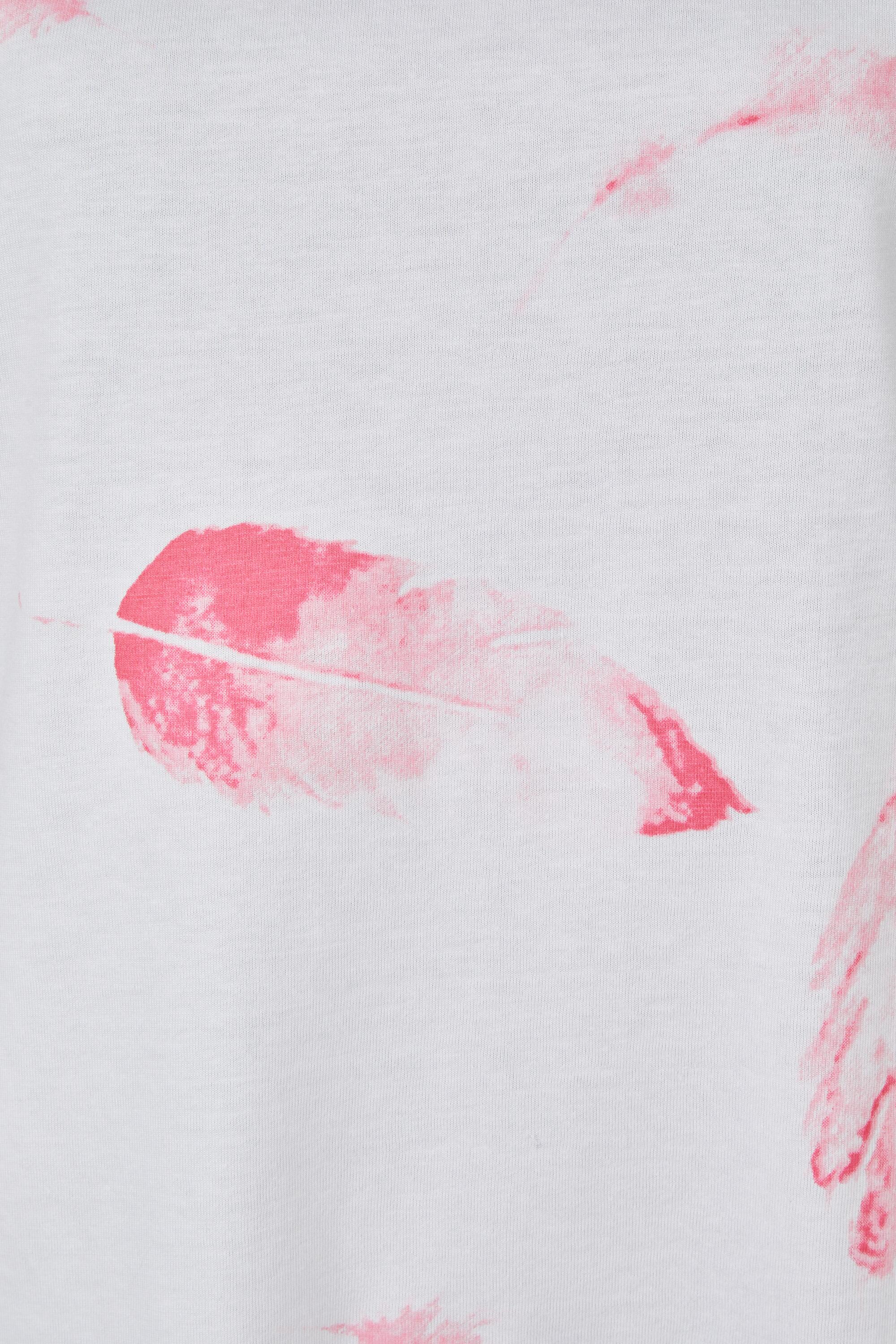 Bruno Kleine I0152978-9 #4