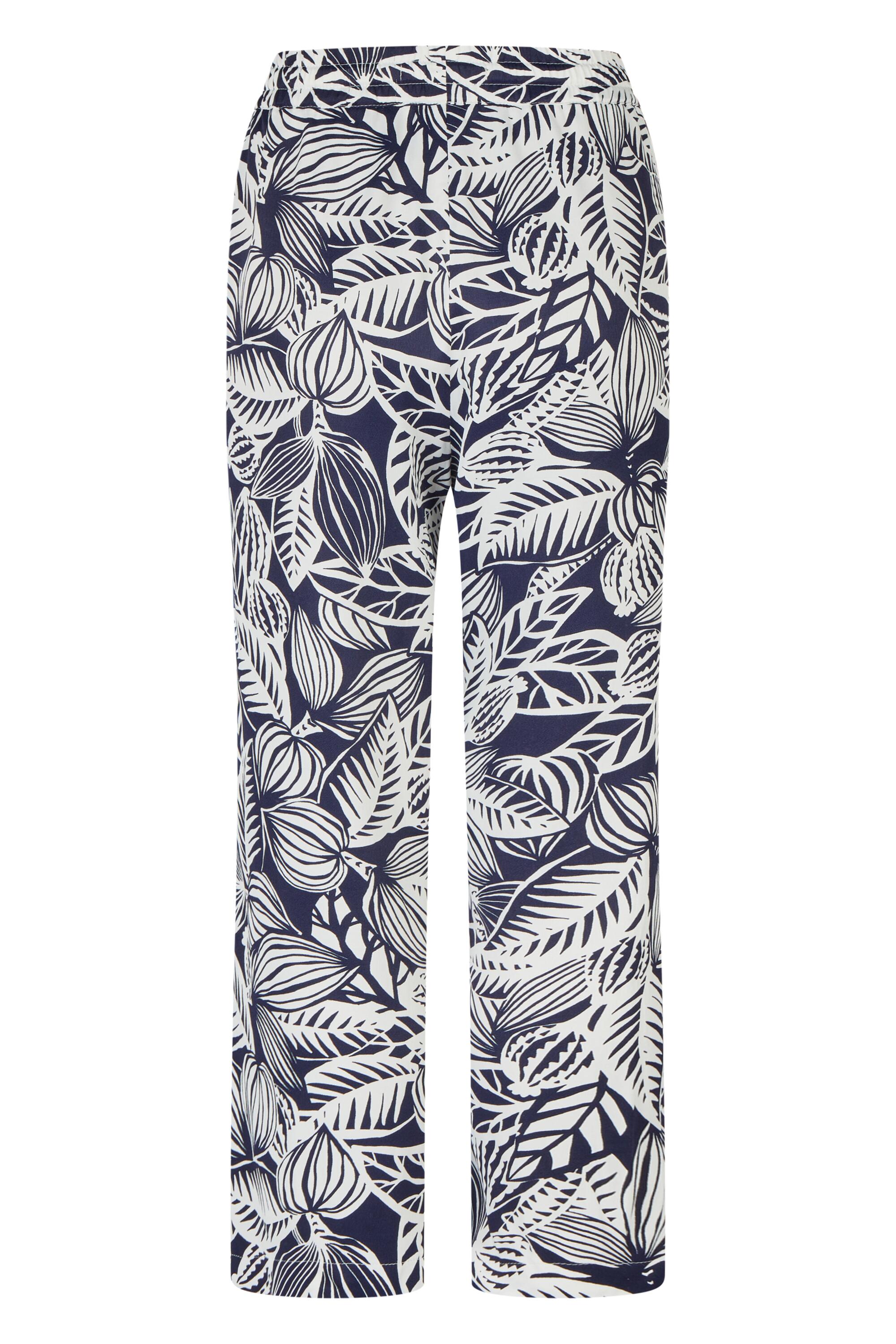 Bruno Kleine I0152225-6 #3