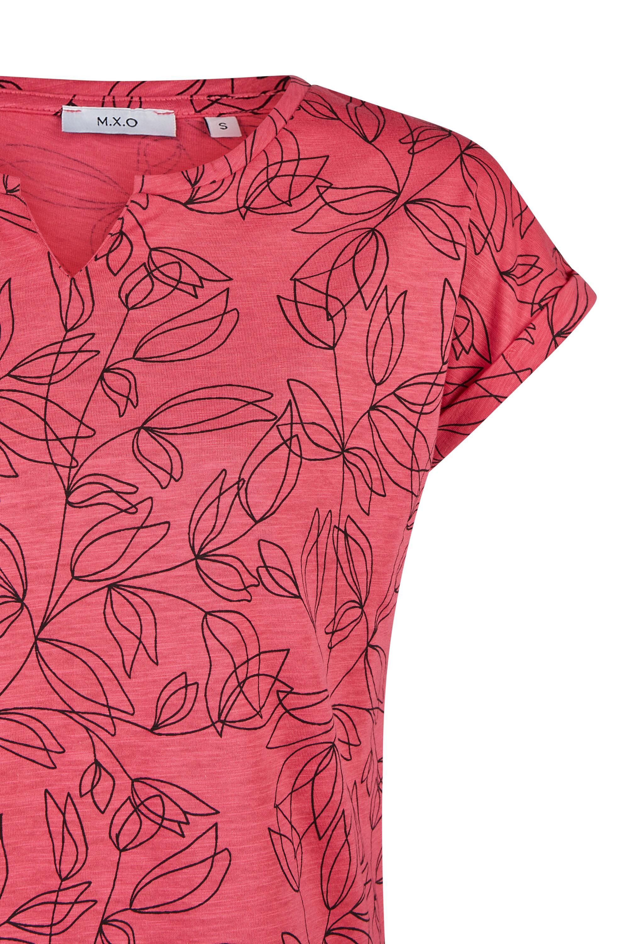 Bruno Kleine I0151654-9 #4