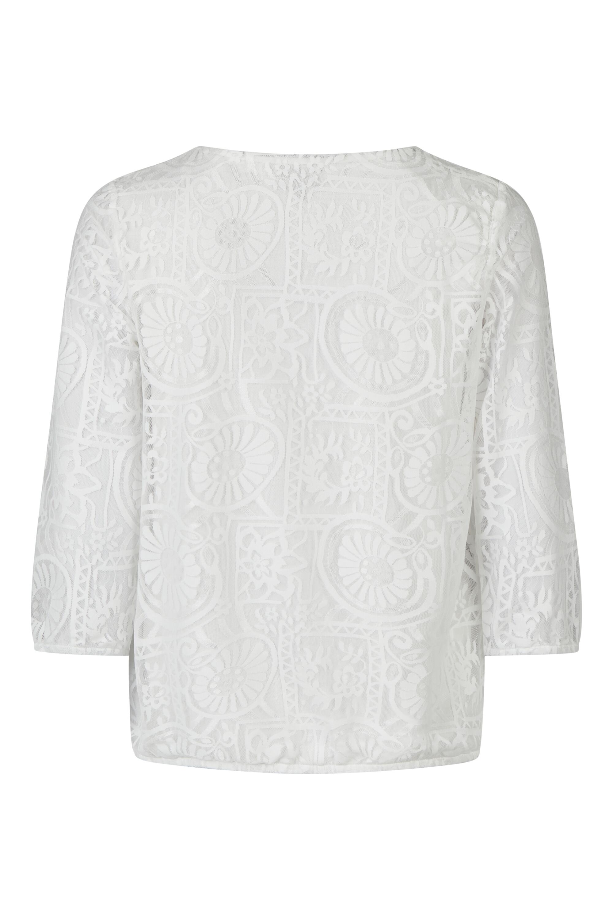 Bruno Kleine I0152340-5 #3