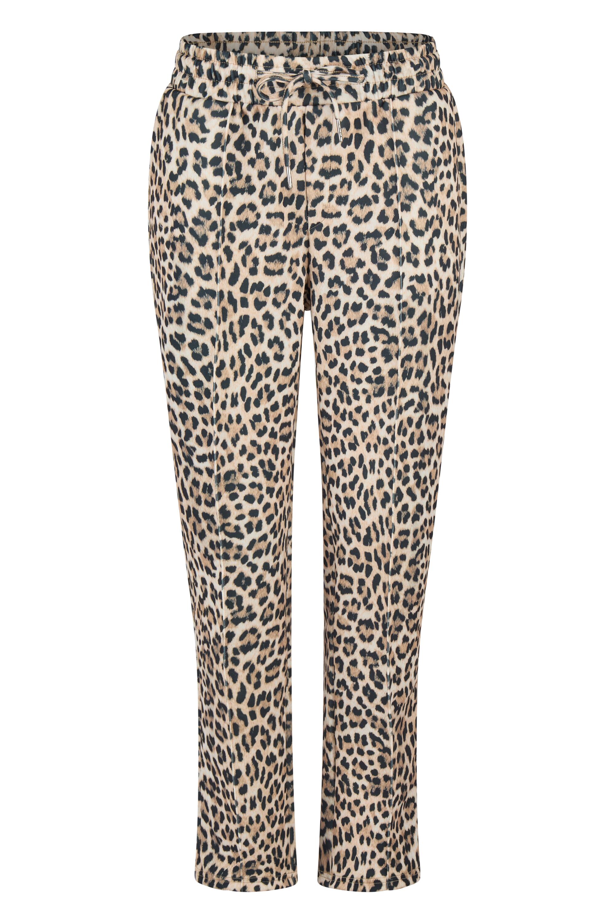 Bruno Kleine I0152022-5 #1