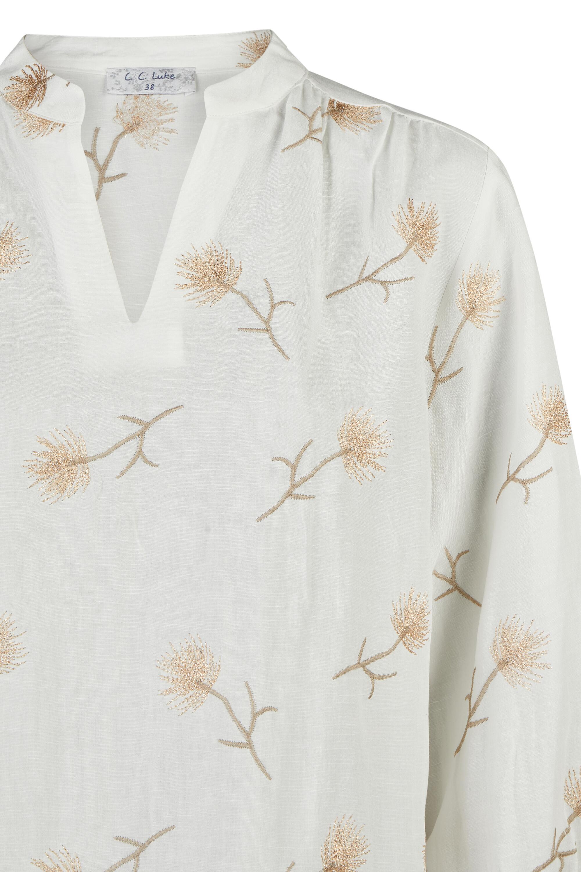 Bruno Kleine I0153864-6 #4