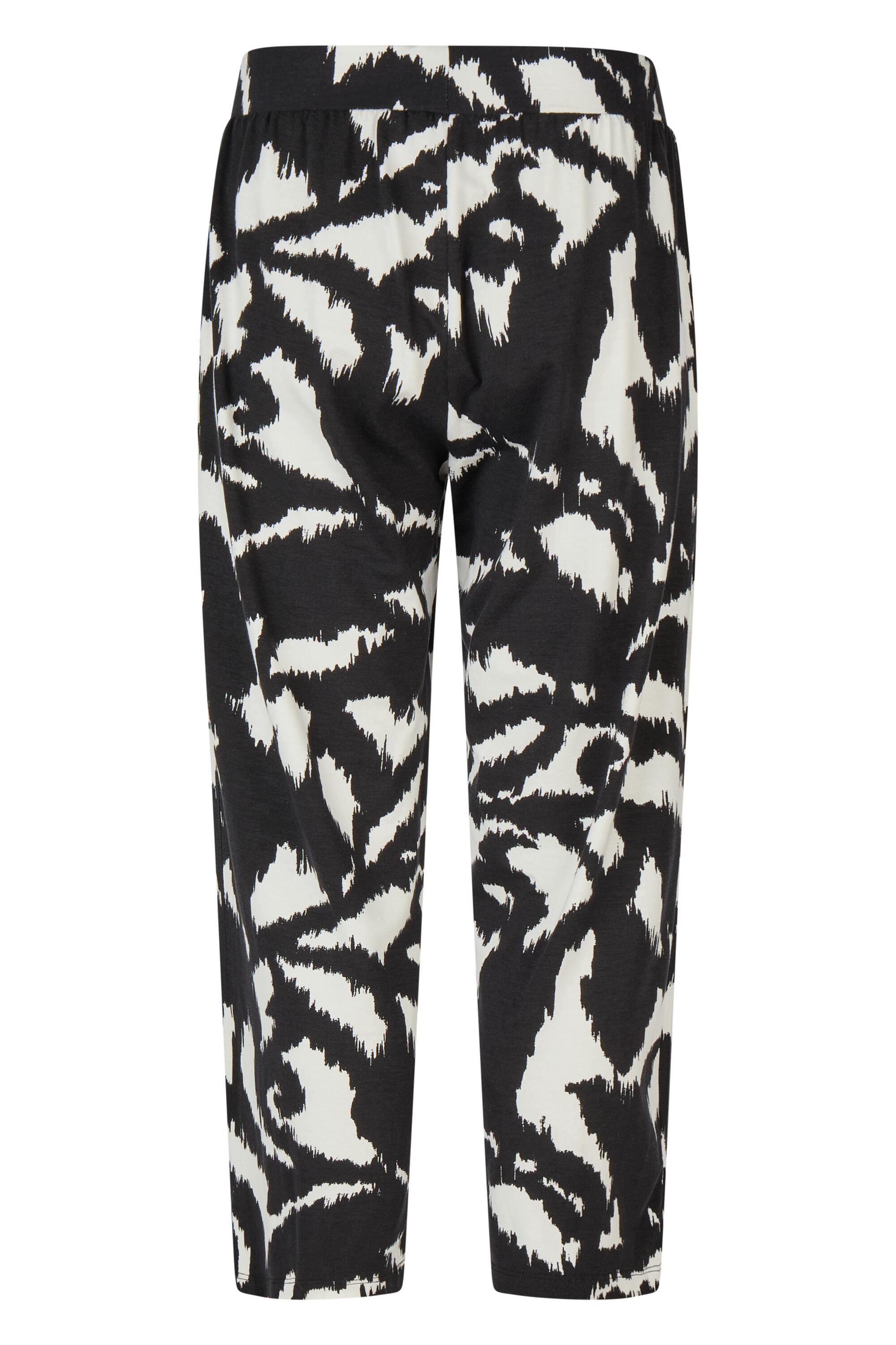 Bruno Kleine I0152870-5 #3