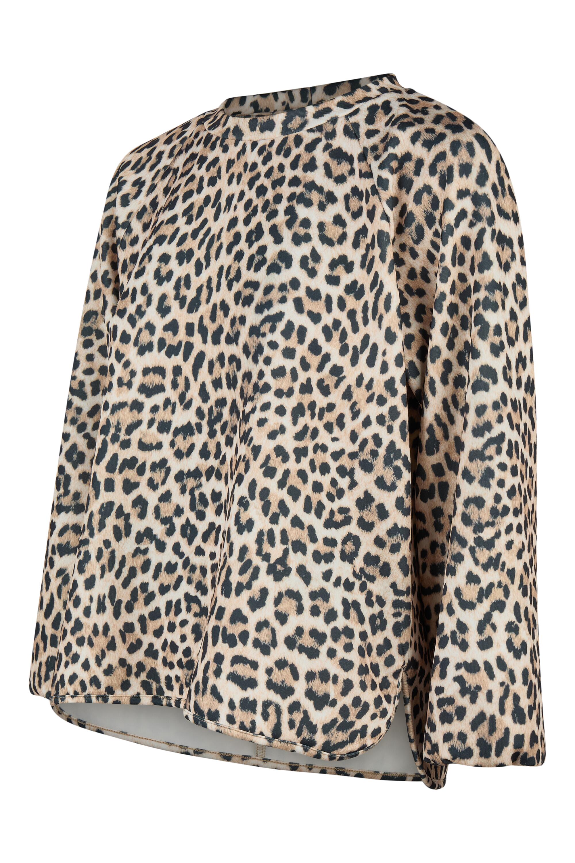 Bruno Kleine I0152016-5 #2