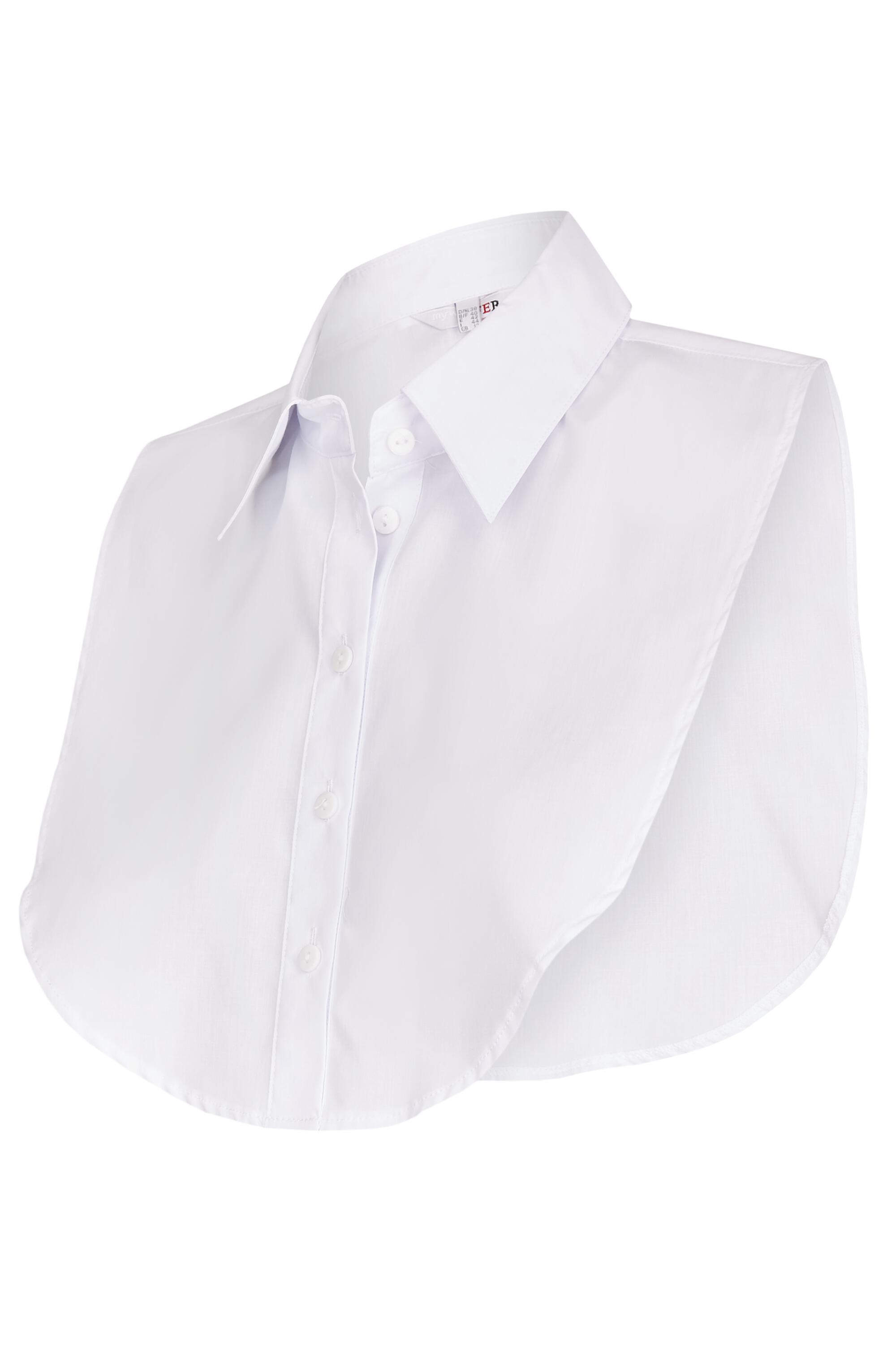 Bruno Kleine I0082430-9 #2 Bruno Kleine I0082430-9 #2