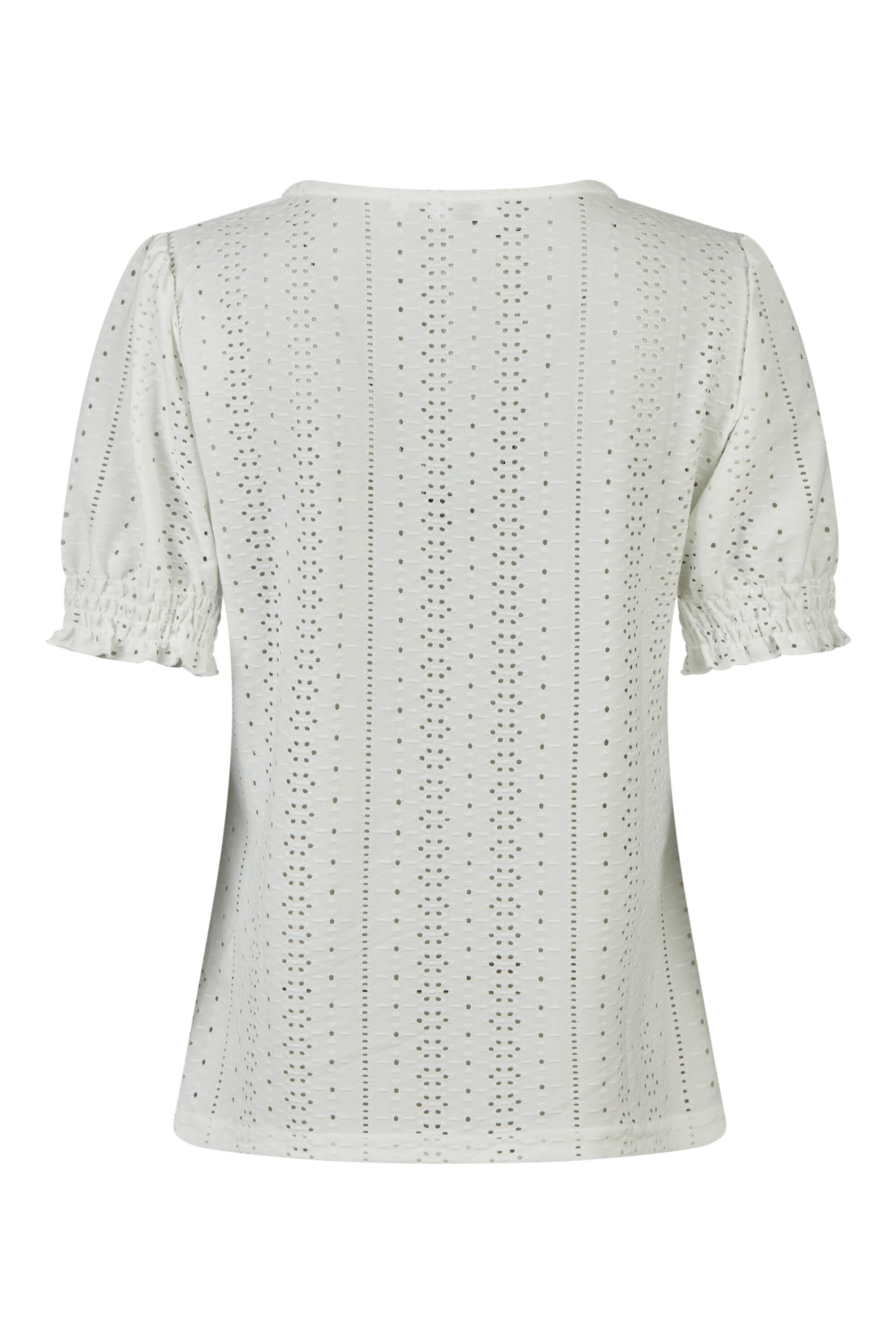 Bruno Kleine I0151765-9 #3