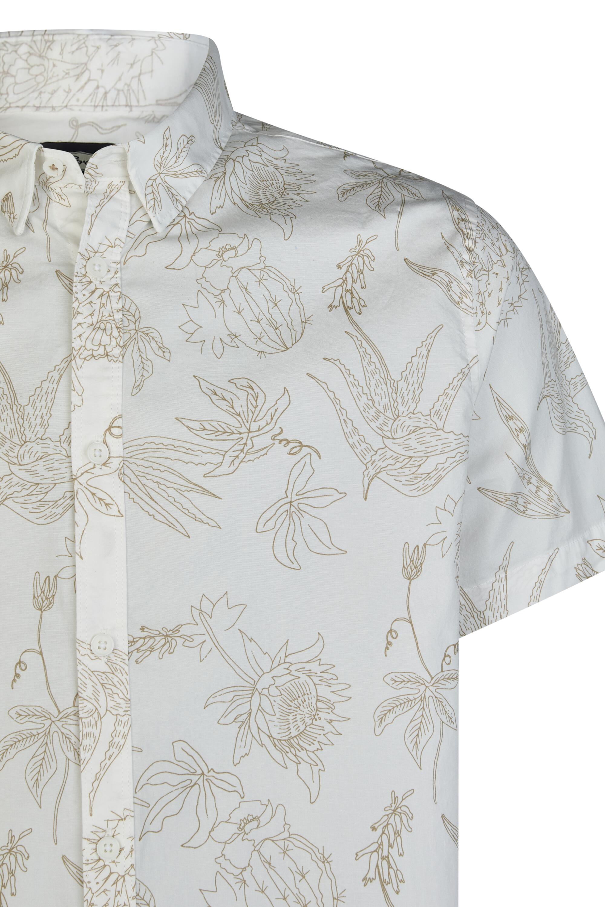 Bruno Kleine I0153341-4 #4