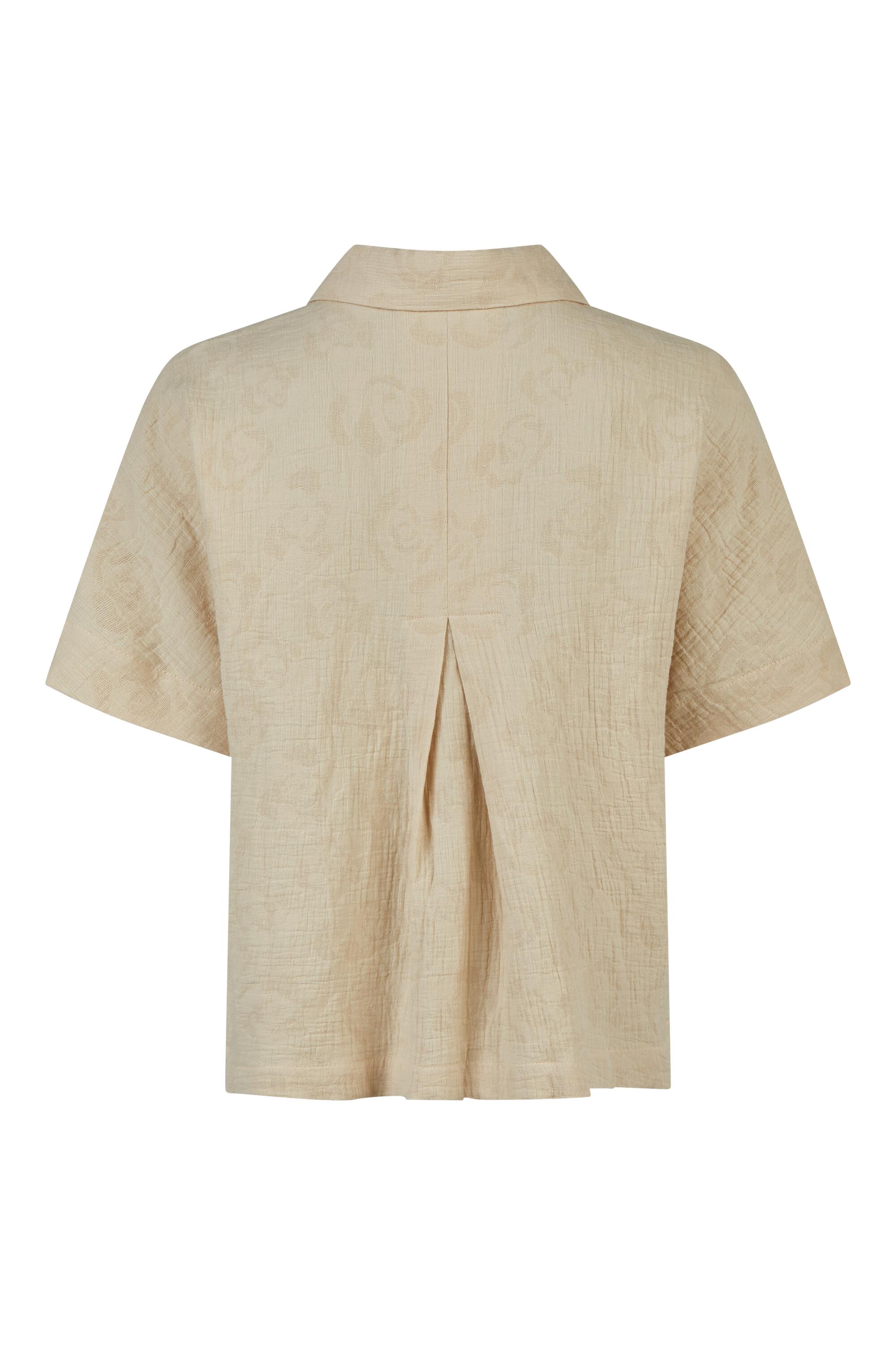 Bruno Kleine I0153832-9 #3