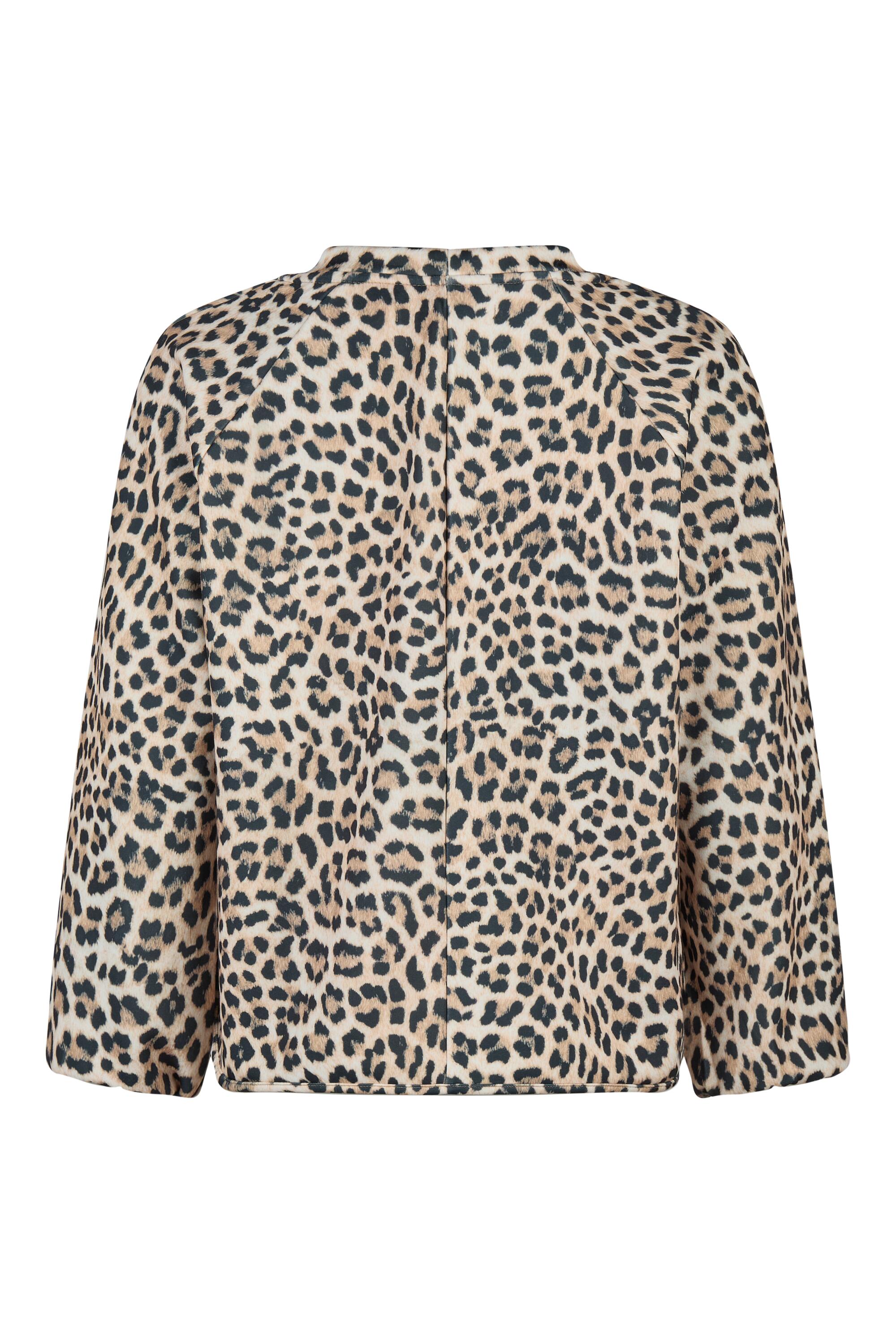 Bruno Kleine I0152016-5 #3