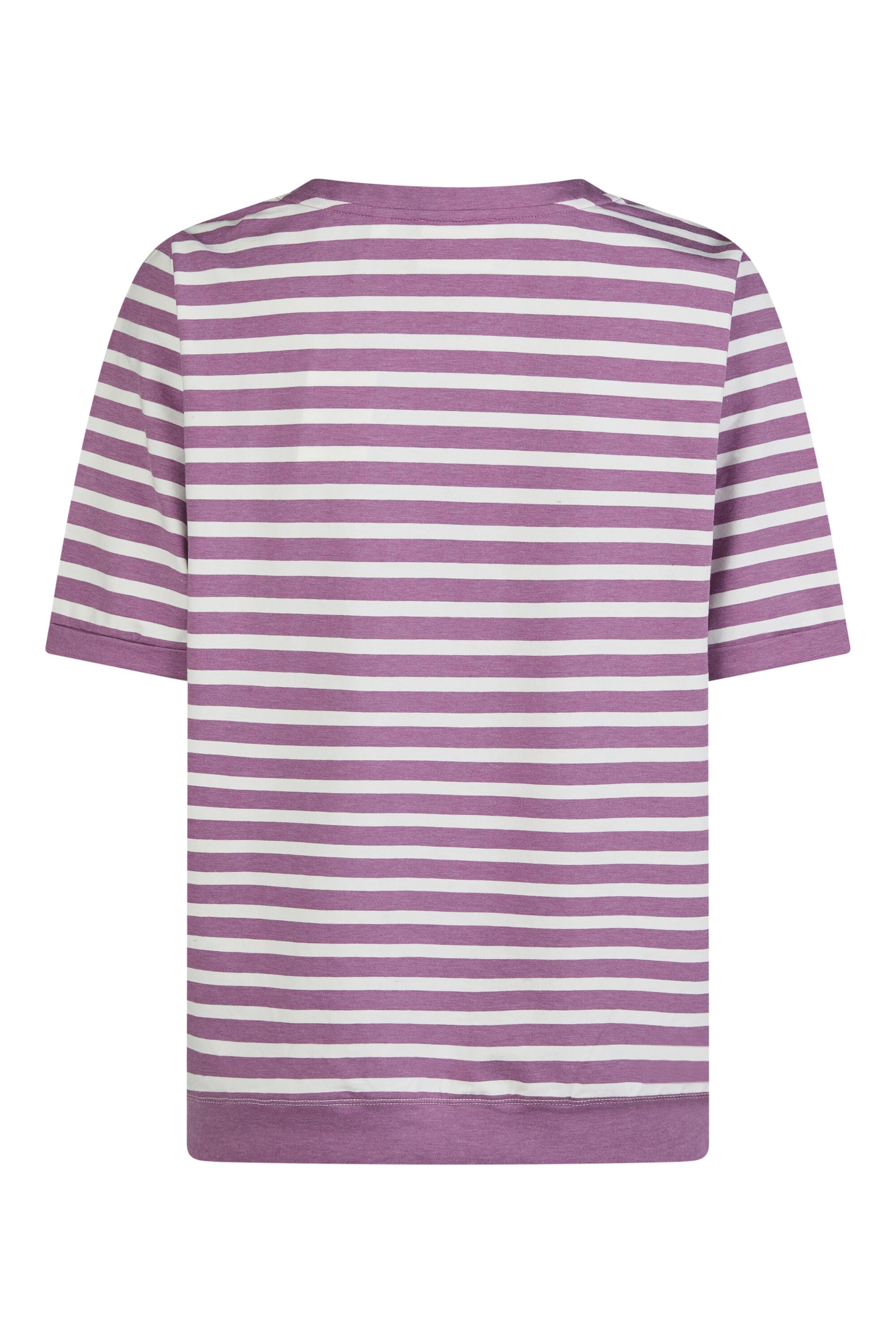 Bruno Kleine I0153208-4 #3