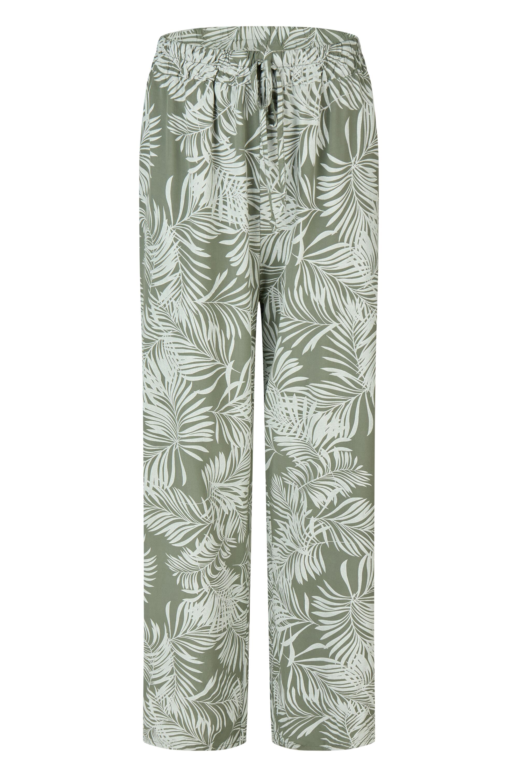 Bruno Kleine I0152865-9 #1