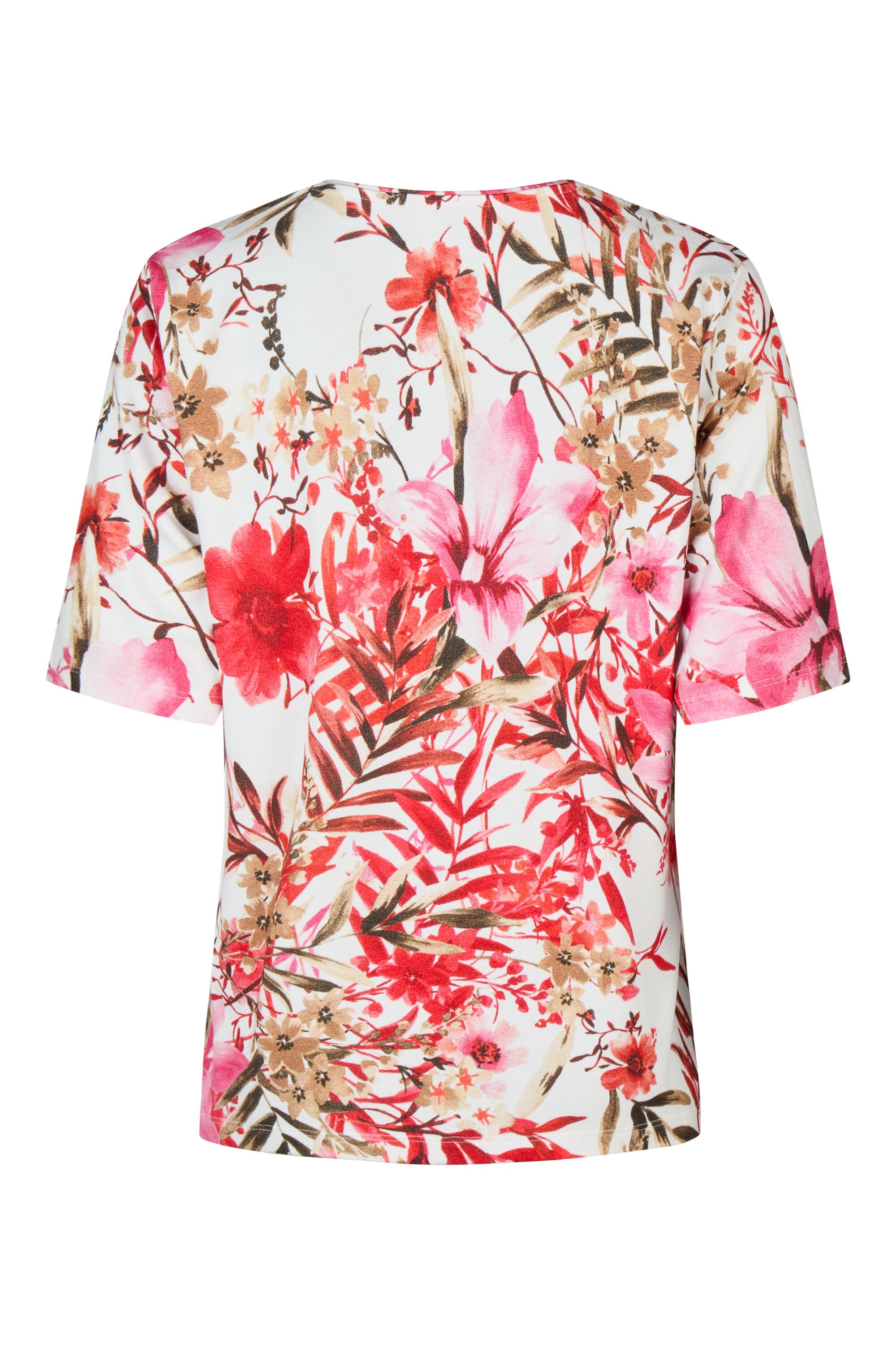 Bruno Kleine I0152966-6 #3