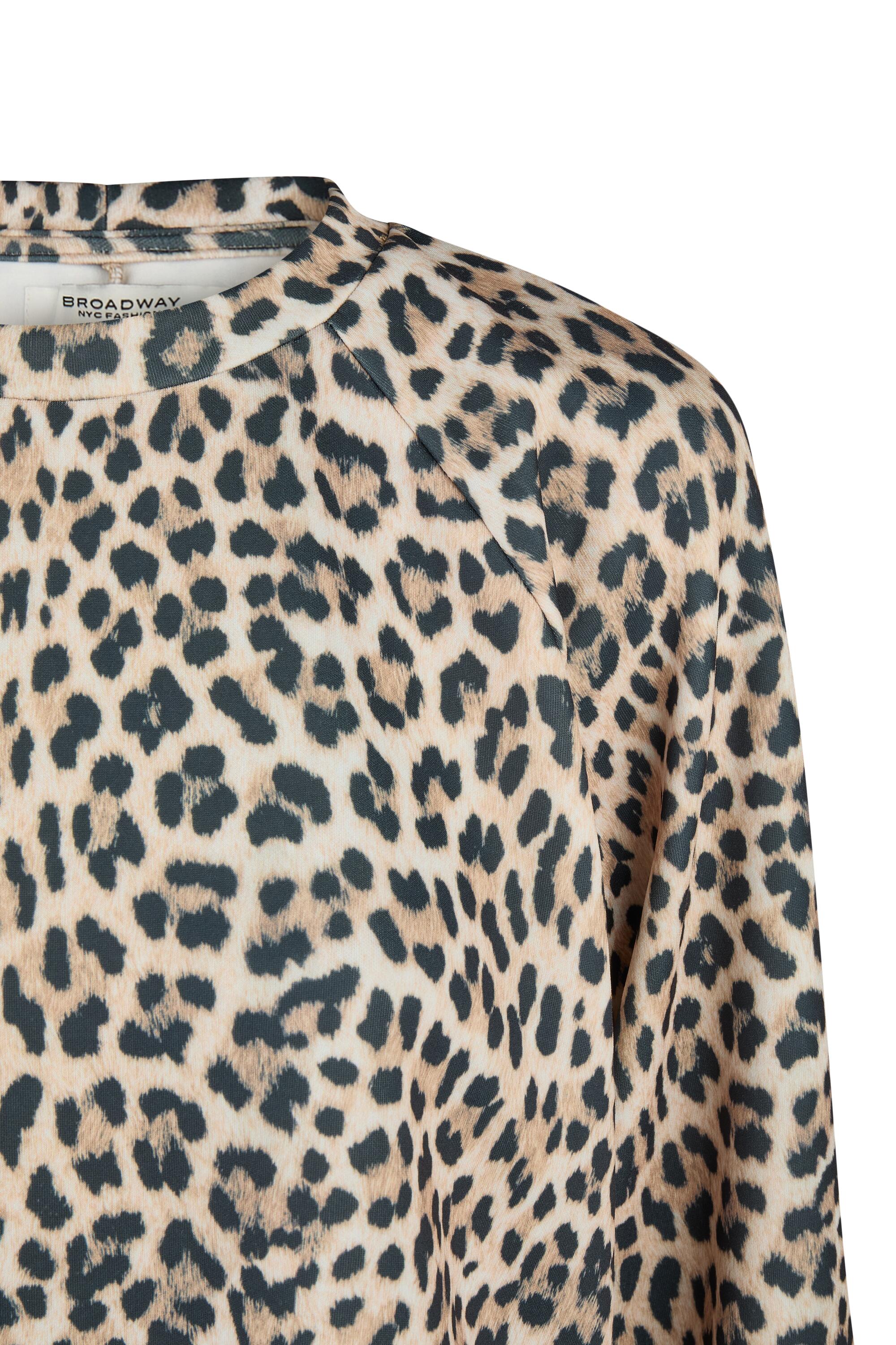 Bruno Kleine I0152016-5 #4