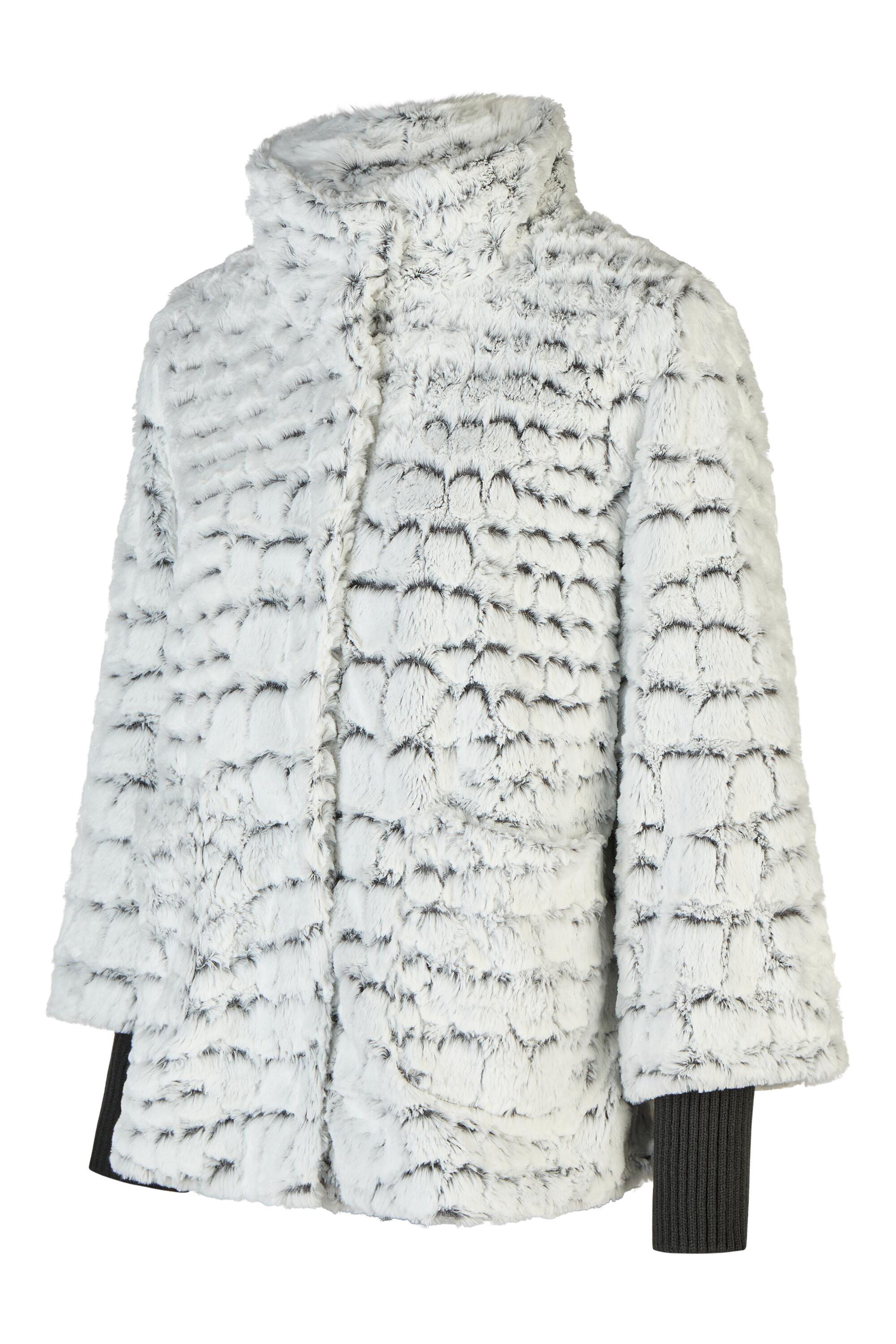 Bruno Kleine I0148630-5 #2