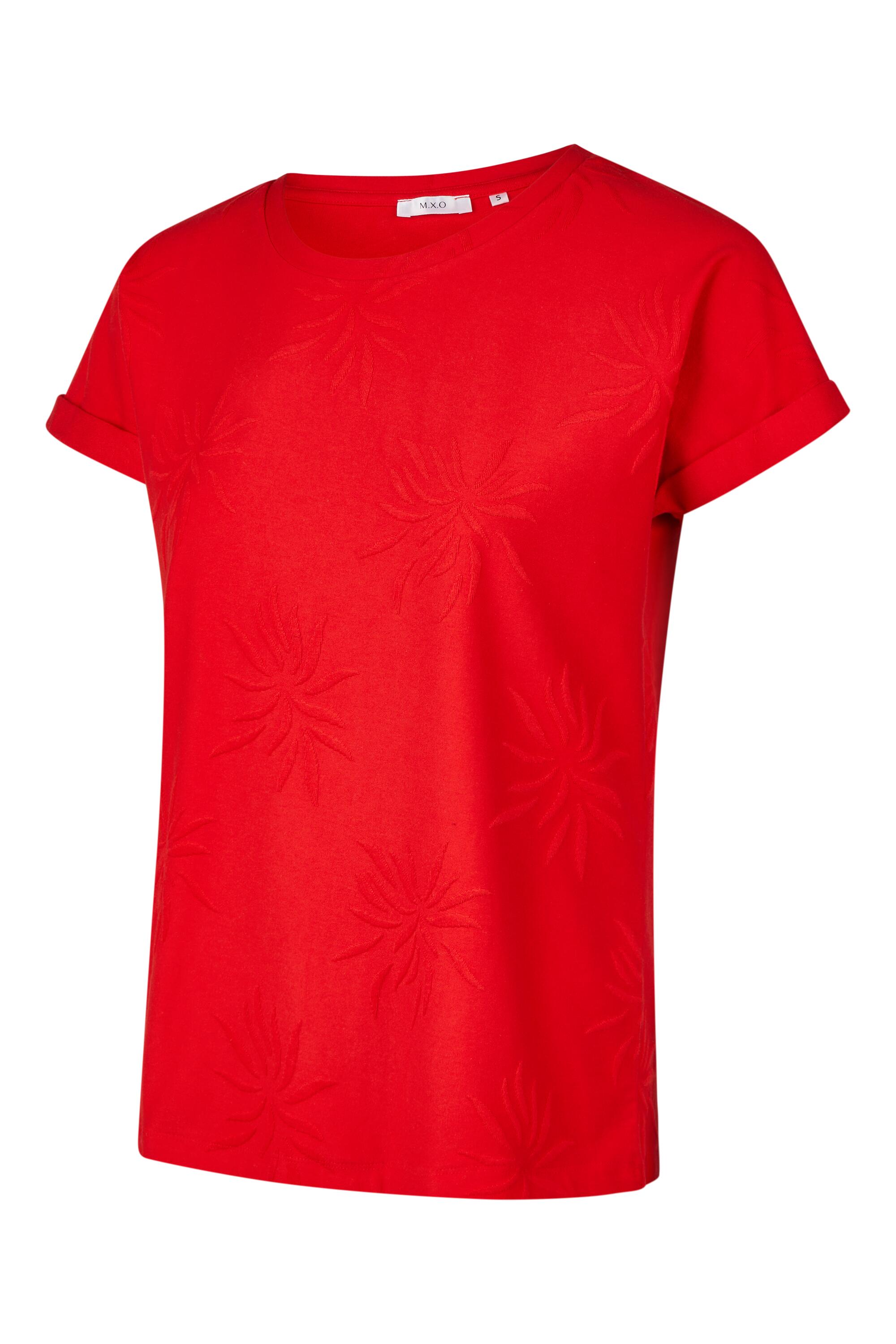 Bruno Kleine I0151649-9 #2